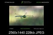Kliknij obrazek, aby uzyskać większą wersję

Nazwa:	Slajd3.JPG
Wyświetleń:	21
Rozmiar:	227,6 KB
ID:	267078