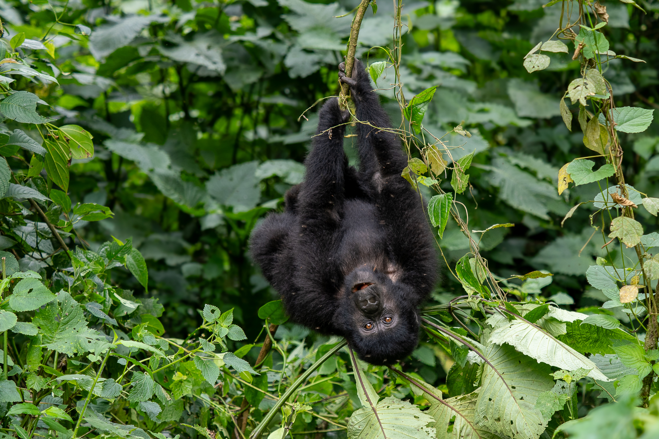 Nazwa:  P2140654.jpg
Wyświetleń: 96
Rozmiar:  3,00 MB