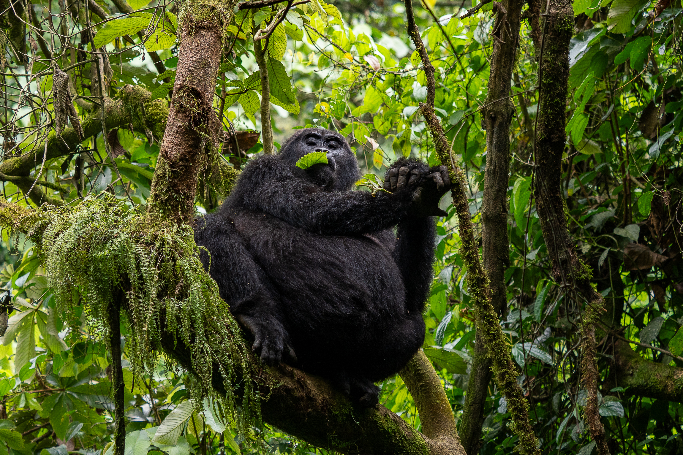 Nazwa:  P2140715.jpg
Wyświetleń: 117
Rozmiar:  4,32 MB