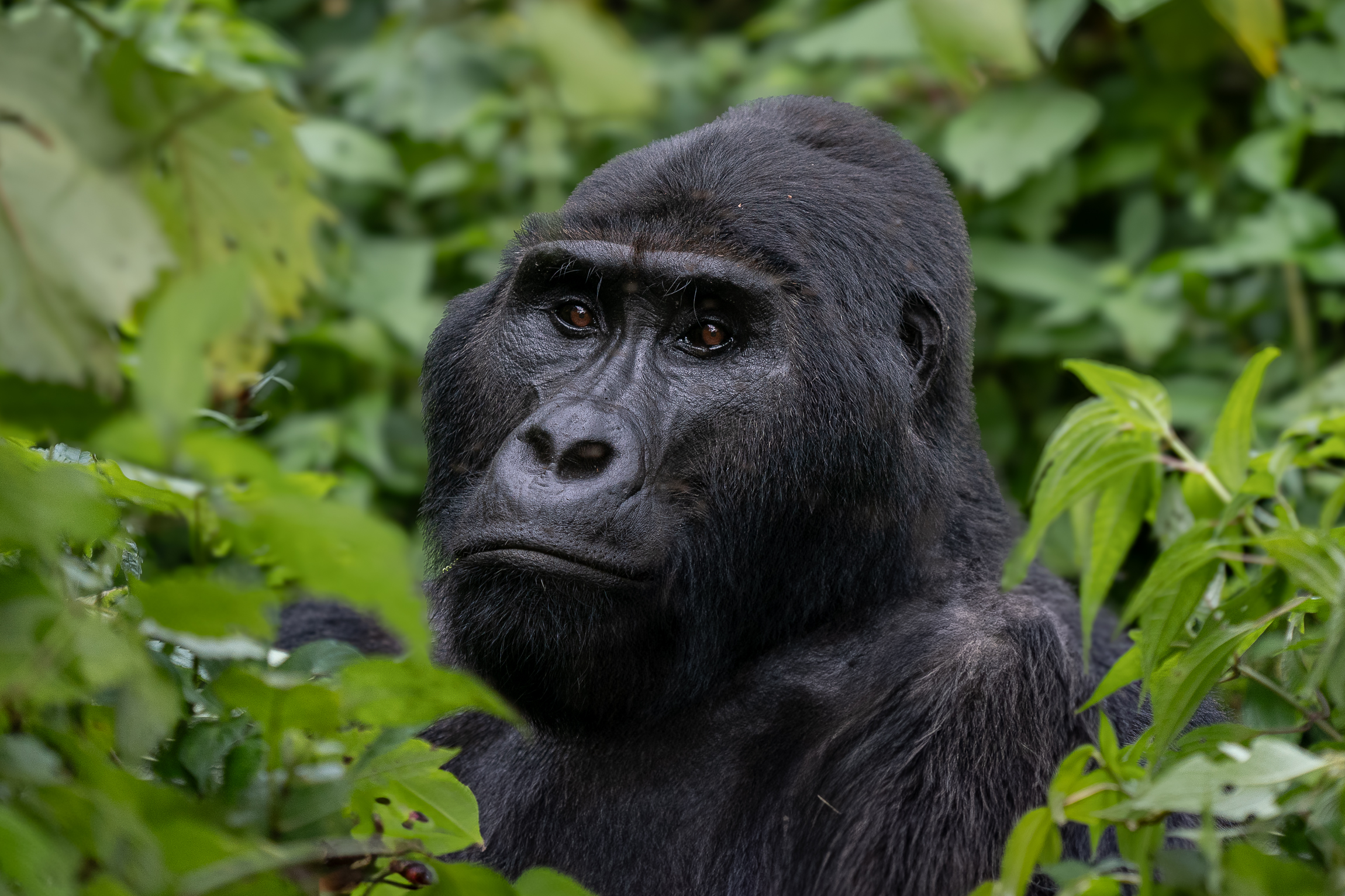 Nazwa:  P2140854-5.jpg
Wyświetleń: 109
Rozmiar:  1,96 MB