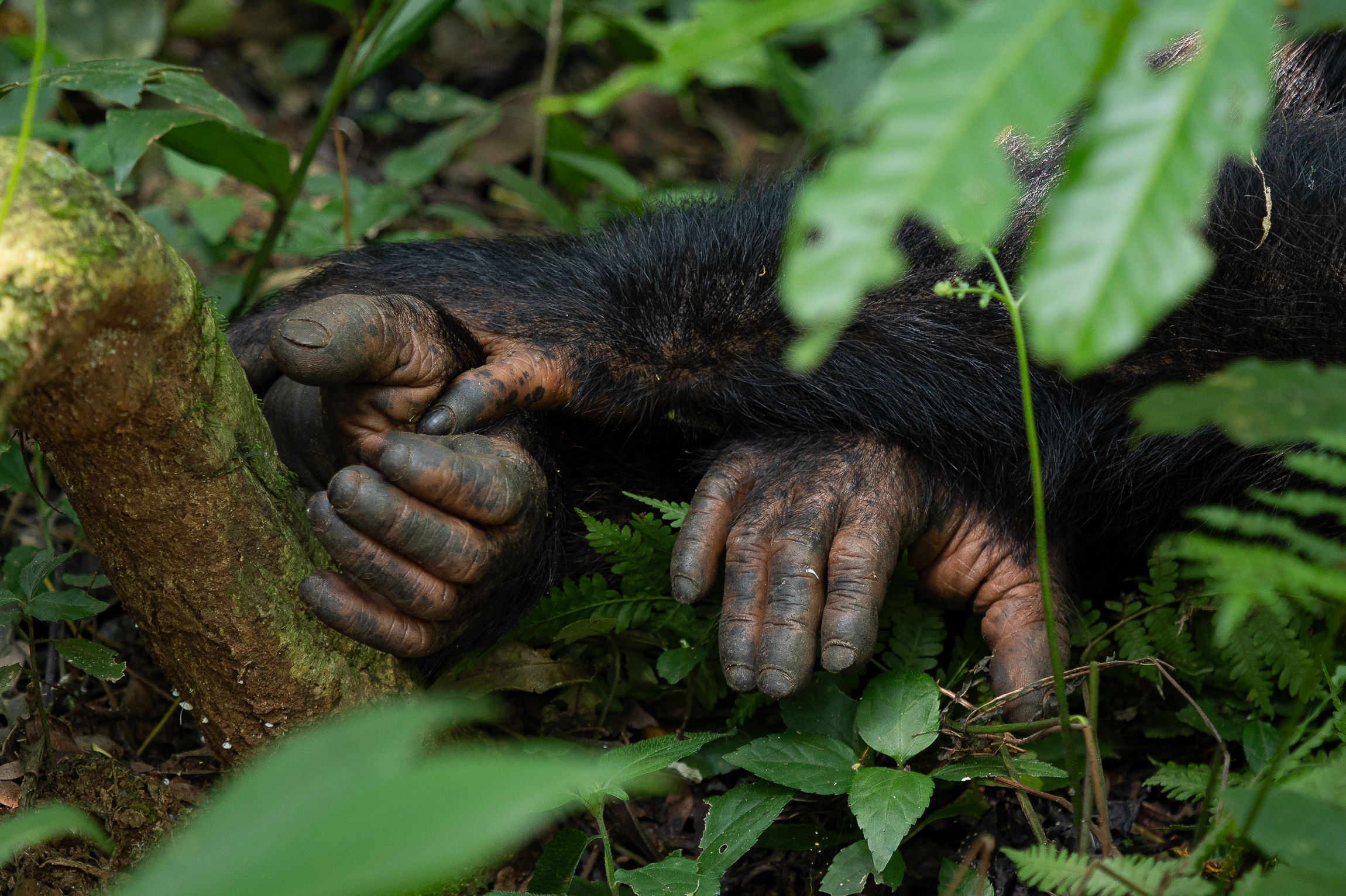 Nazwa:  P2201673.jpg
Wyświetleń: 69
Rozmiar:  2,73 MB