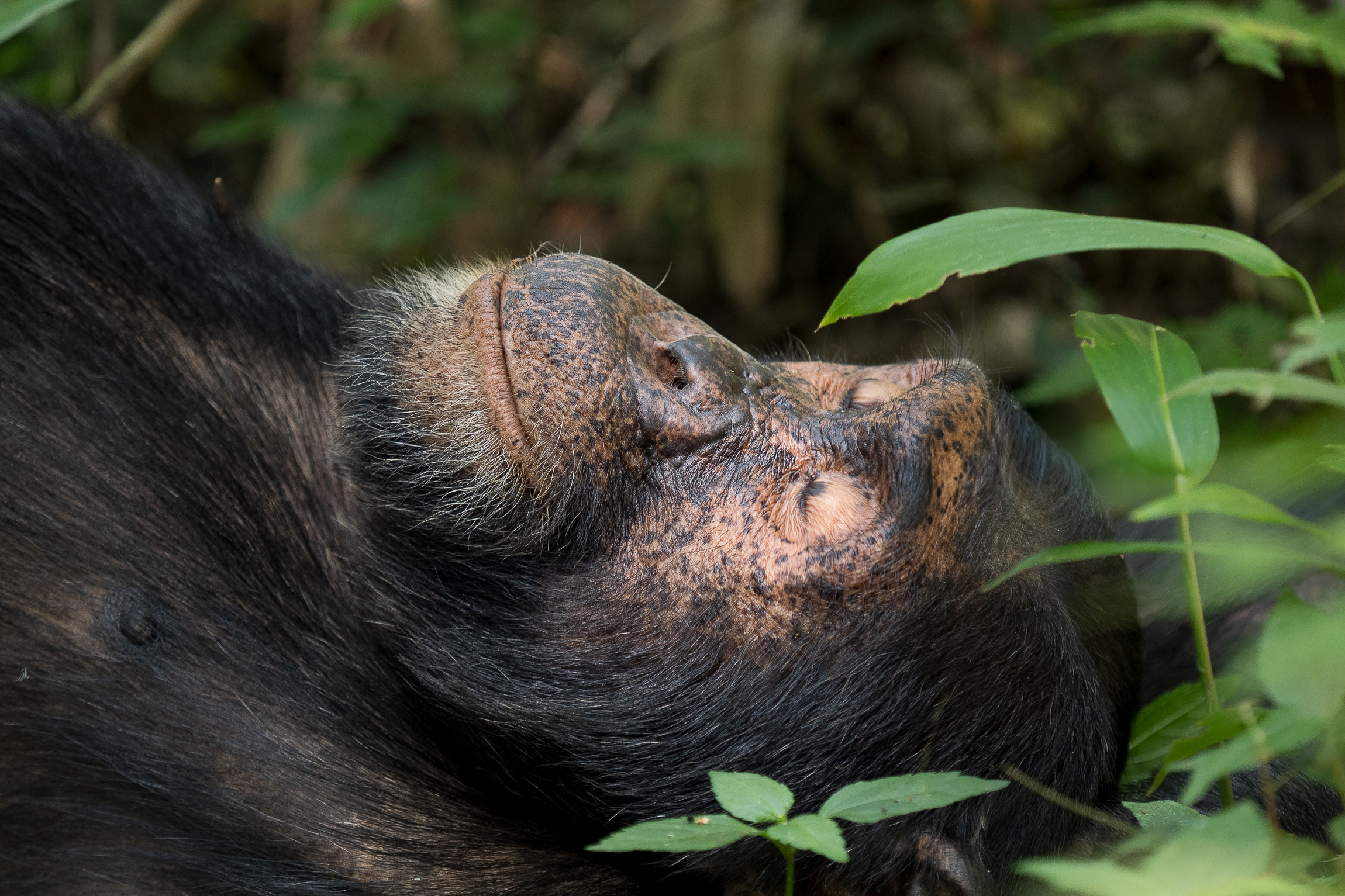 Nazwa:  P2201653.jpg
Wyświetleń: 69
Rozmiar:  2,51 MB