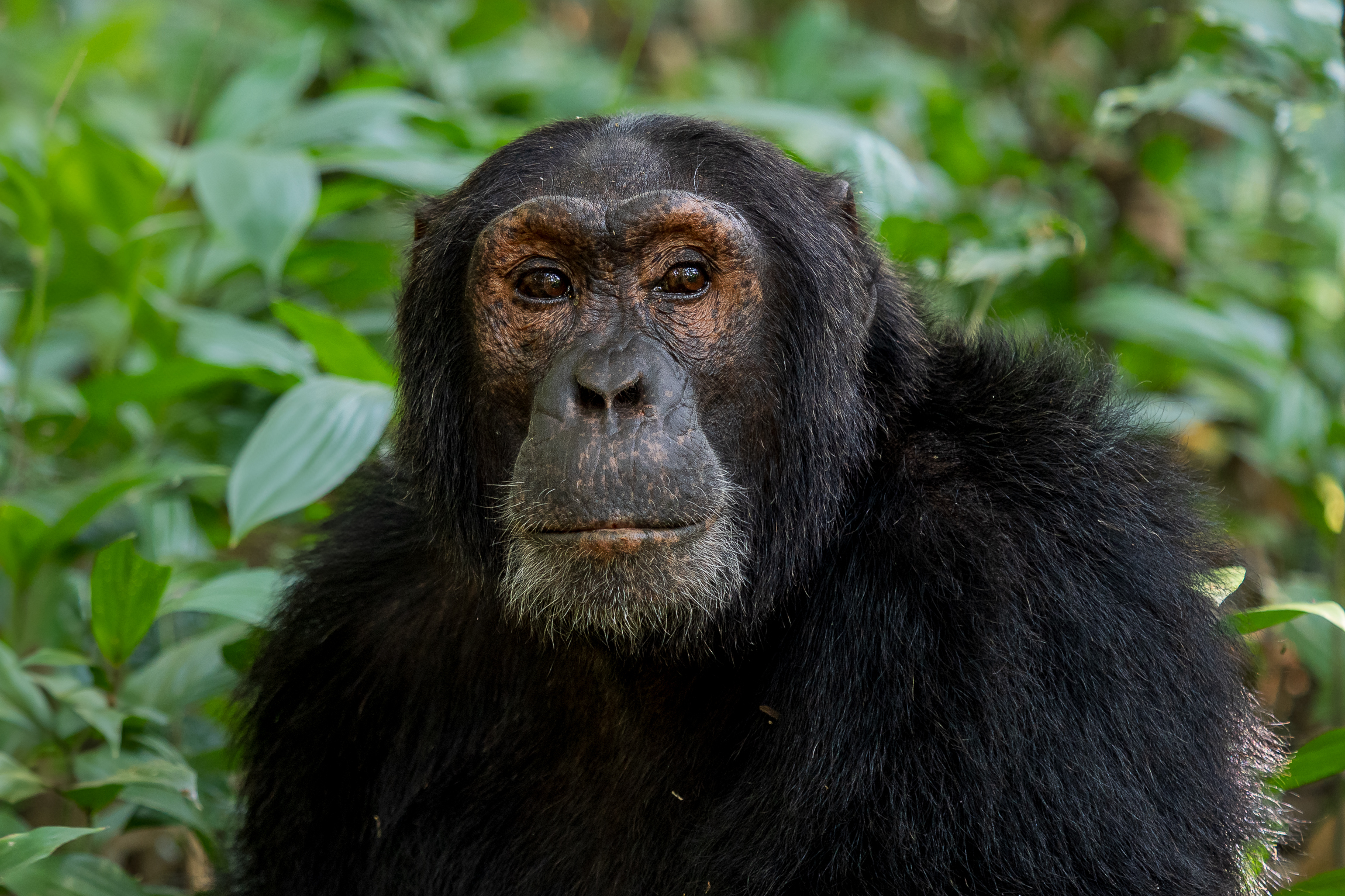 Nazwa:  P2201623.jpg
Wyświetleń: 66
Rozmiar:  2,44 MB