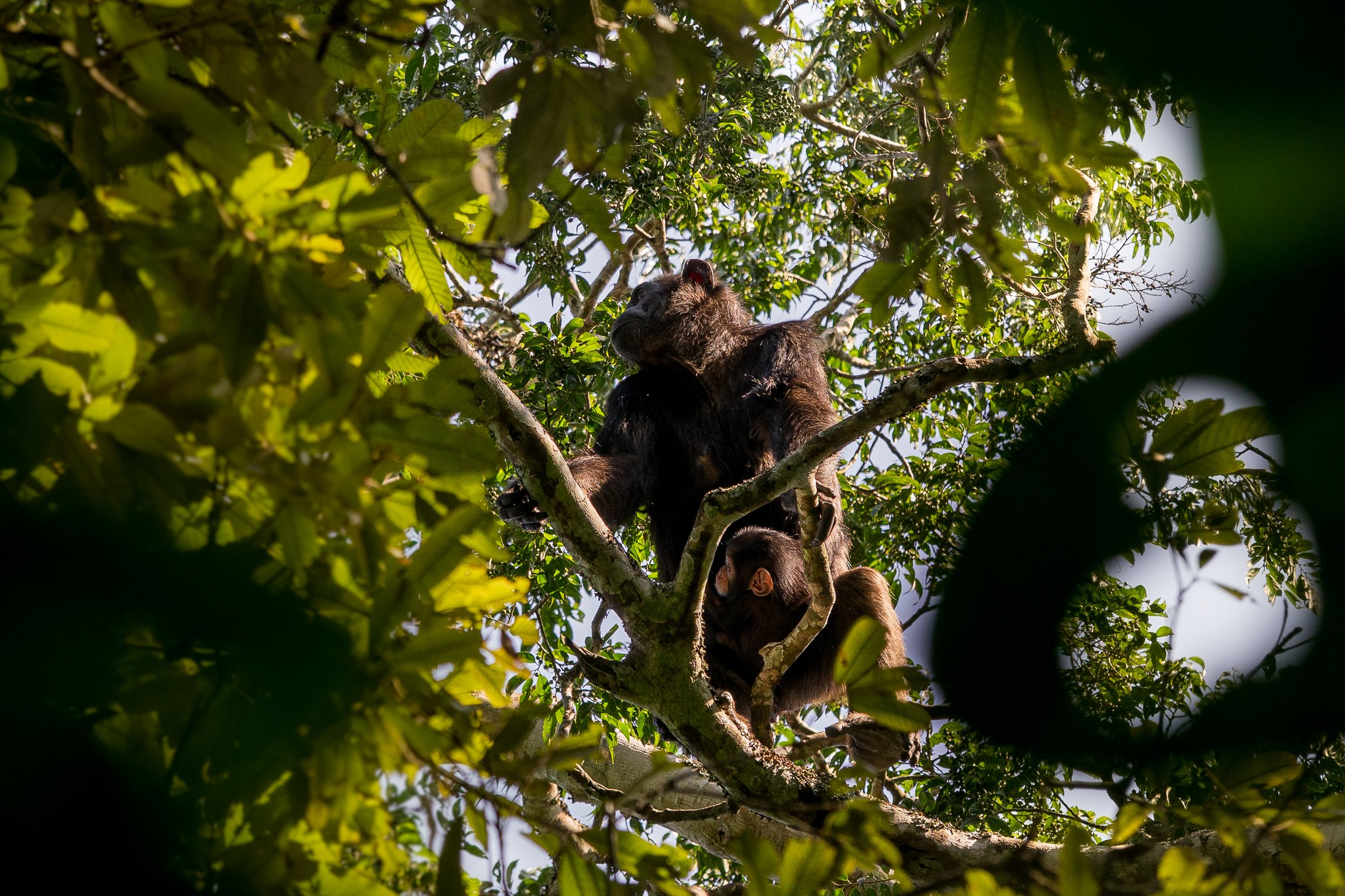 Nazwa:  P2201584.jpg
Wyświetleń: 66
Rozmiar:  2,92 MB