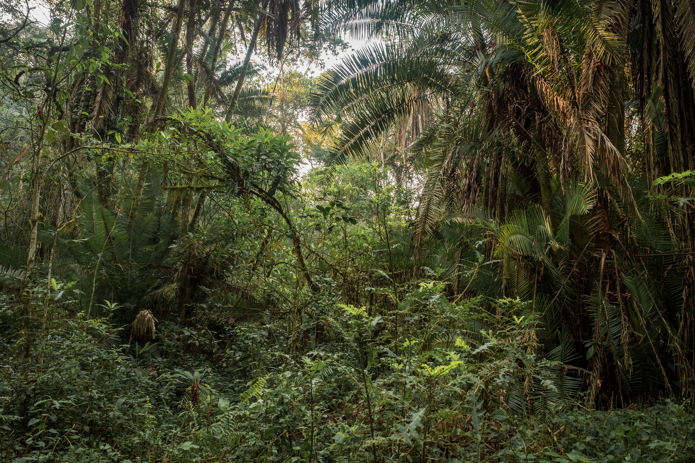 Nazwa:  P2200539.jpg
Wyświetleń: 66
Rozmiar:  4,57 MB