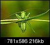 Kliknij obrazek, aby uzyskać większą wersję

Nazwa:	P6015394.JPG
Wyświetleń:	154
Rozmiar:	215,9 KB
ID:	26734