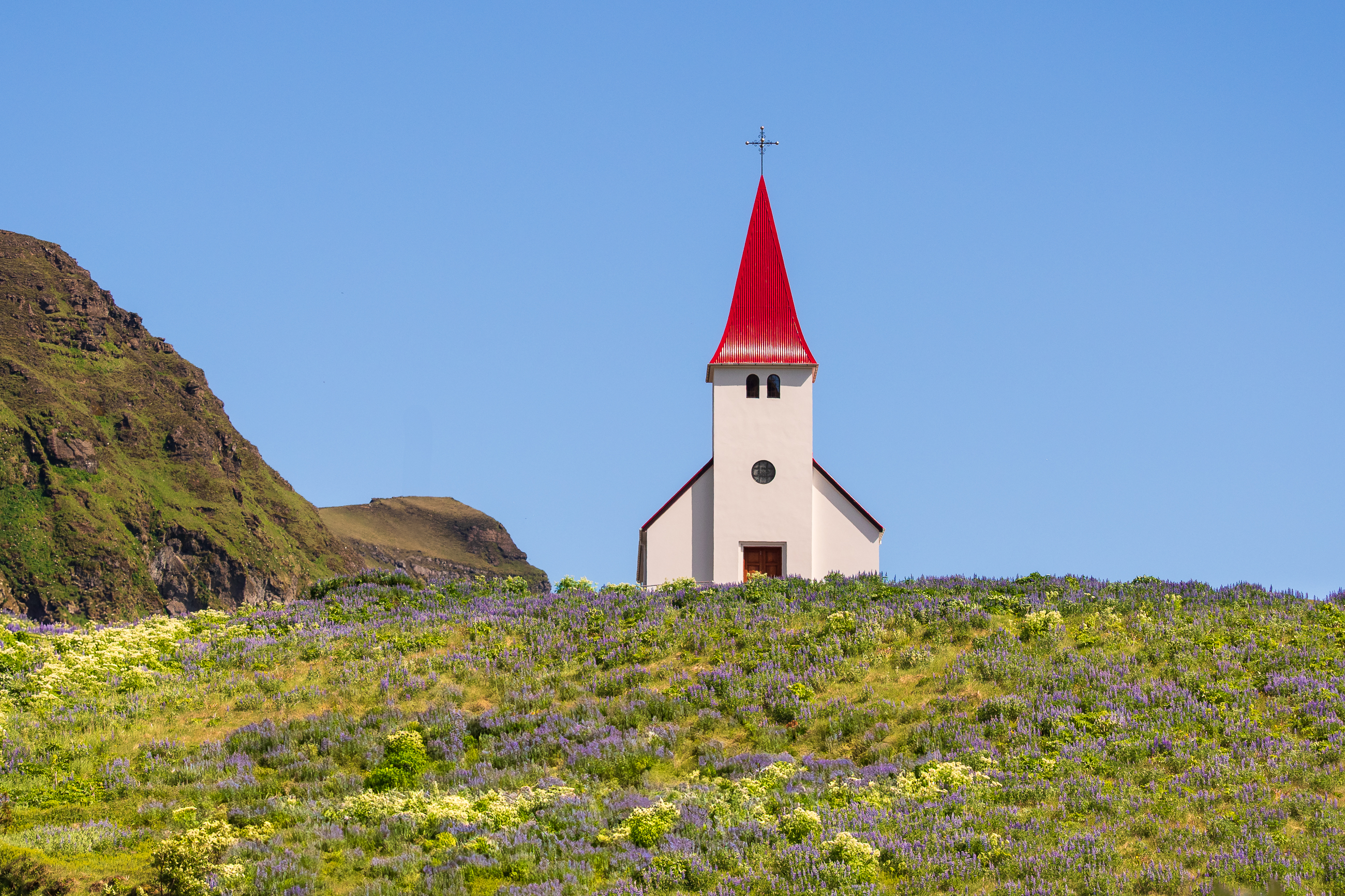 Nazwa:  P5280525-2.jpg
Wyświetleń: 115
Rozmiar:  4,38 MB