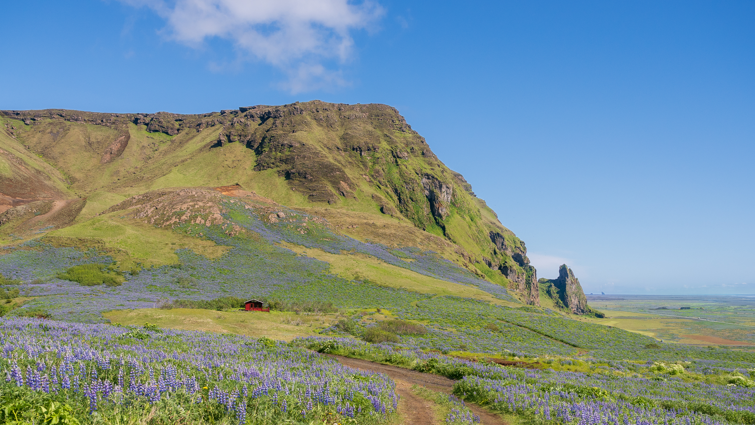 Nazwa:  P5280489-2.jpg
Wyświetleń: 117
Rozmiar:  4,17 MB