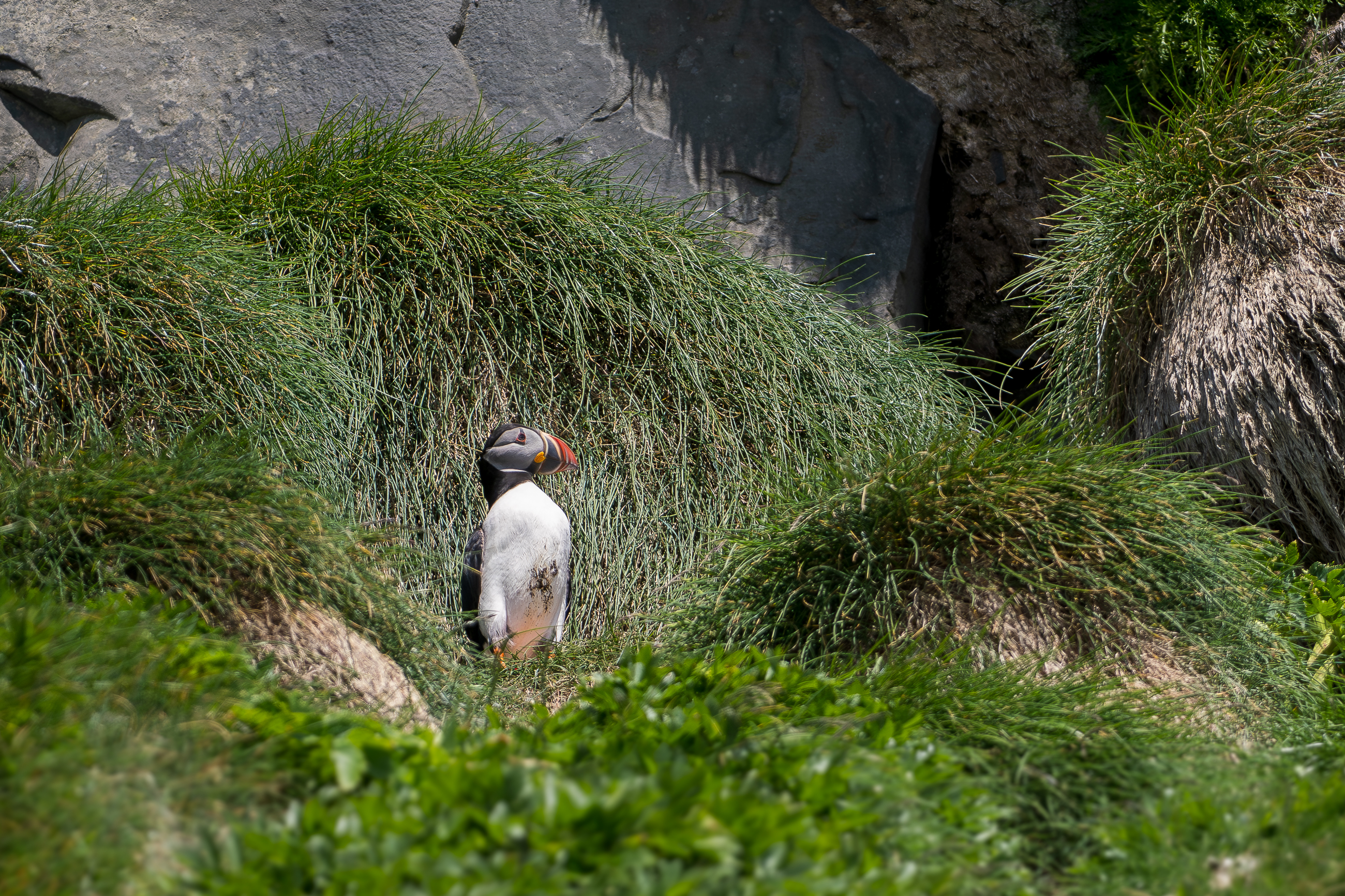 Nazwa:  P5290527.jpg
Wyświetleń: 80
Rozmiar:  4,99 MB