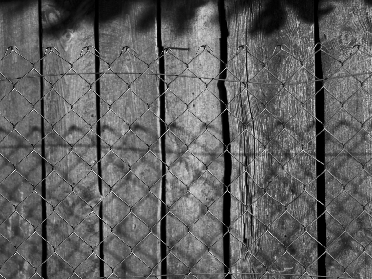 Nazwa:  P8020019_bw.jpg
Wyświetleń: 39
Rozmiar:  374,3 KB