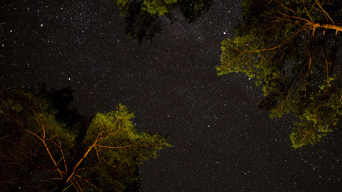 Nazwa:  P9250599-Enhanced-NR.jpg
Wyświetleń: 67
Rozmiar:  458,3 KB