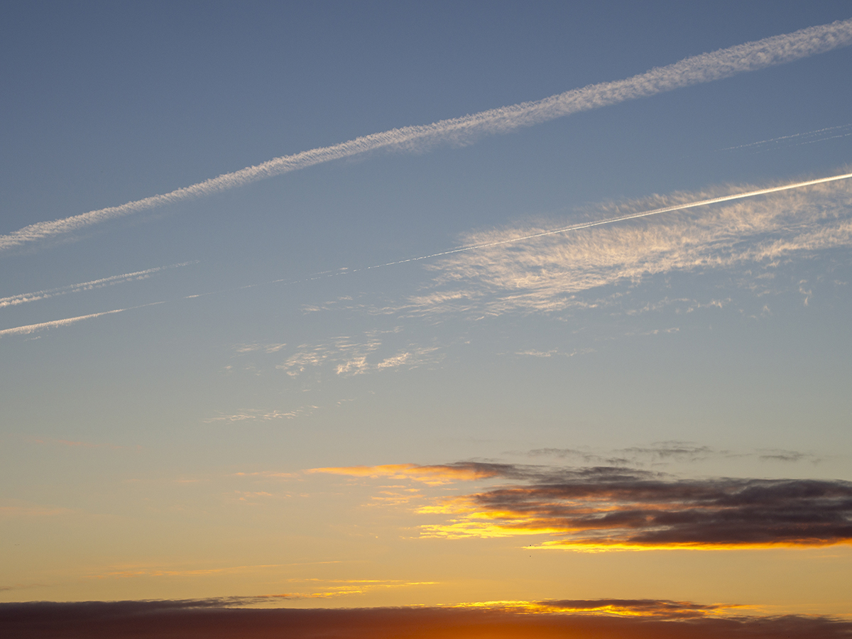 Nazwa:  P9281162.jpg
Wyświetleń: 50
Rozmiar:  597,2 KB