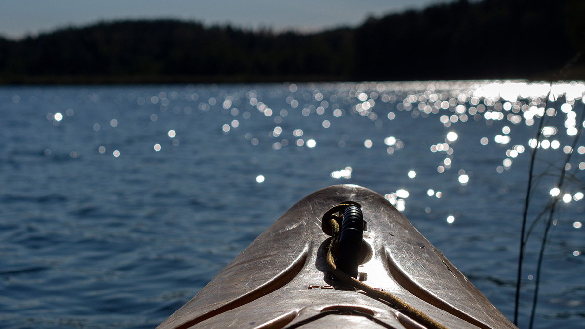 Nazwa:  P9260761.jpg
Wyświetleń: 46
Rozmiar:  198,0 KB