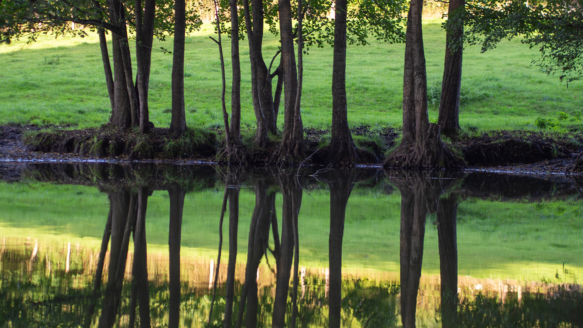 Nazwa:  P9271044.jpg
Wyświetleń: 30
Rozmiar:  917,6 KB