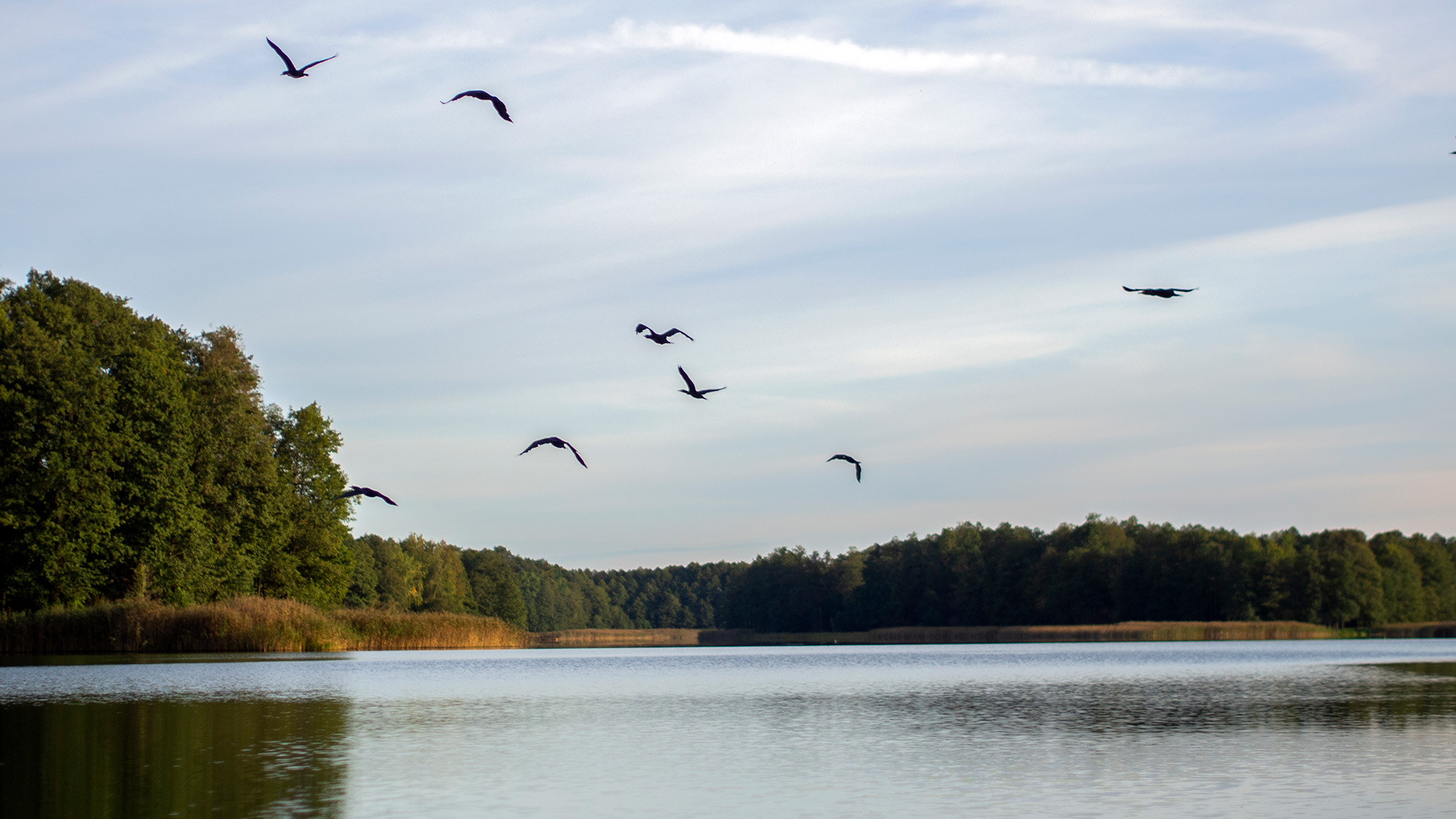 Nazwa:  P9271052.jpg
Wyświetleń: 30
Rozmiar:  437,4 KB