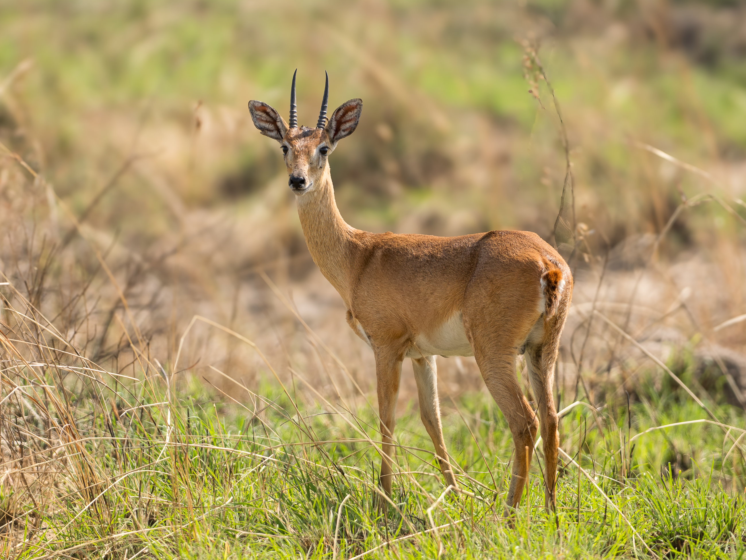 Nazwa:  P2221909.jpg
Wyświetleń: 48
Rozmiar:  3,36 MB