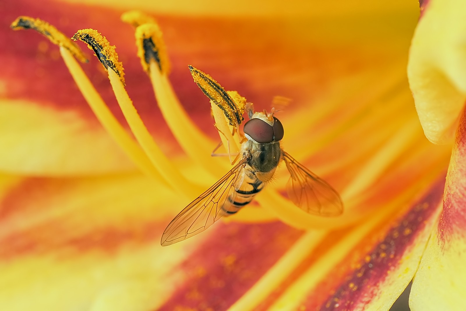 Nazwa:  bzyg190141mf.jpg
Wyświetleń: 87
Rozmiar:  186,8 KB