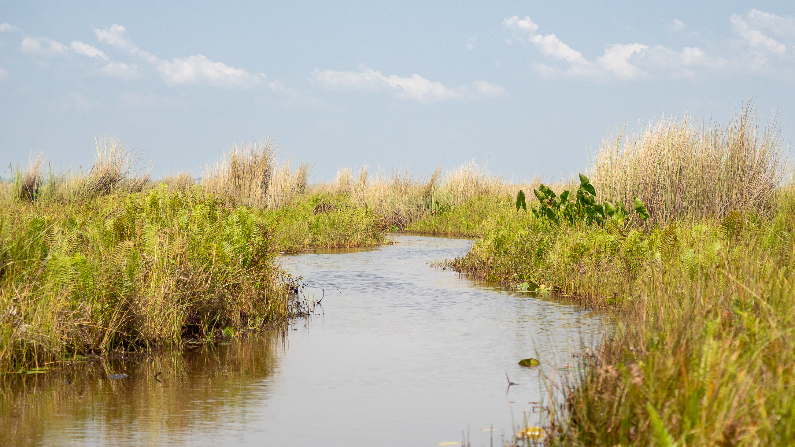 Nazwa:  P2240990.jpg
Wyświetleń: 73
Rozmiar:  3,55 MB