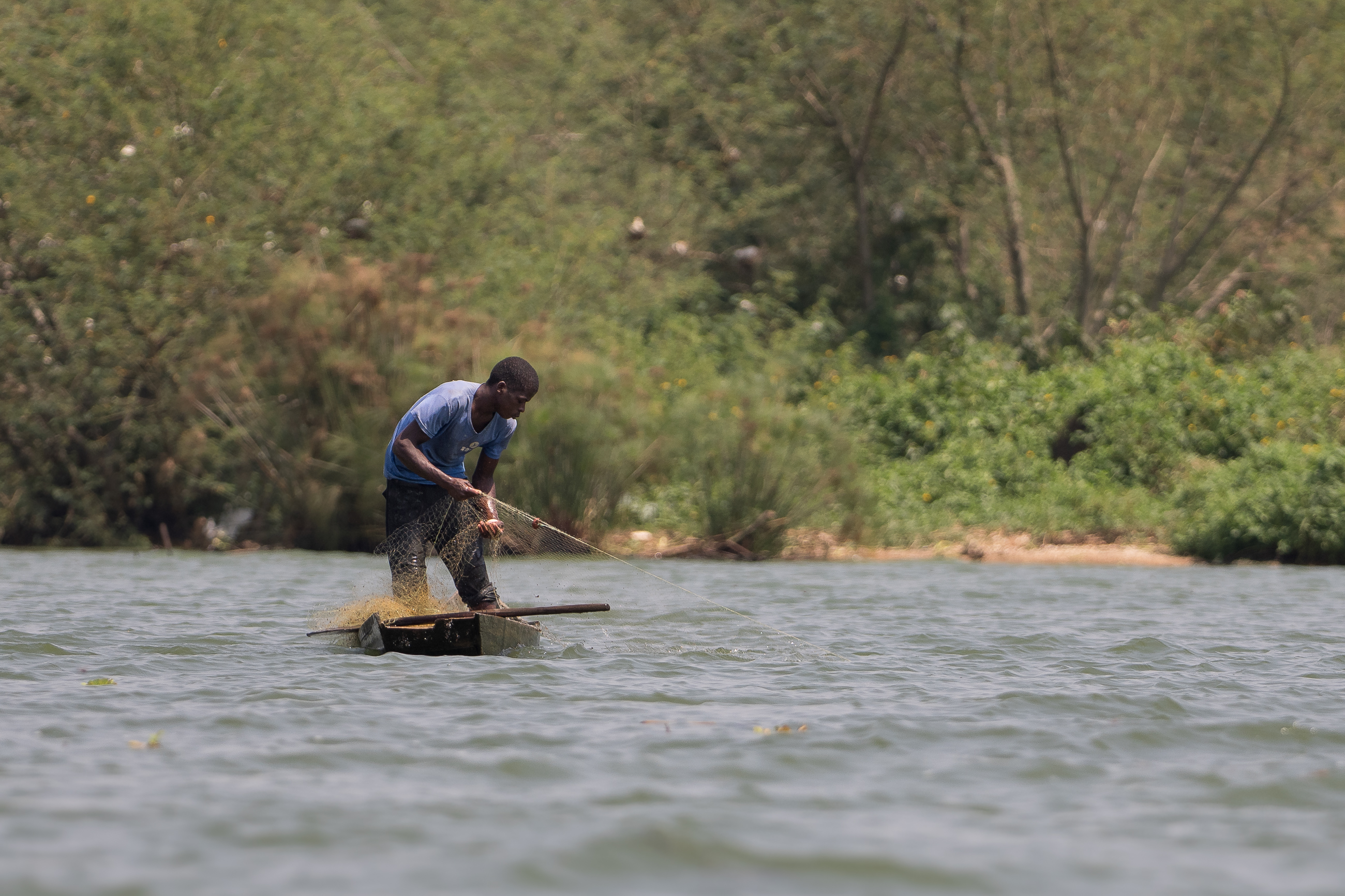 Nazwa:  P2242167.jpg
Wyświetleń: 76
Rozmiar:  2,66 MB