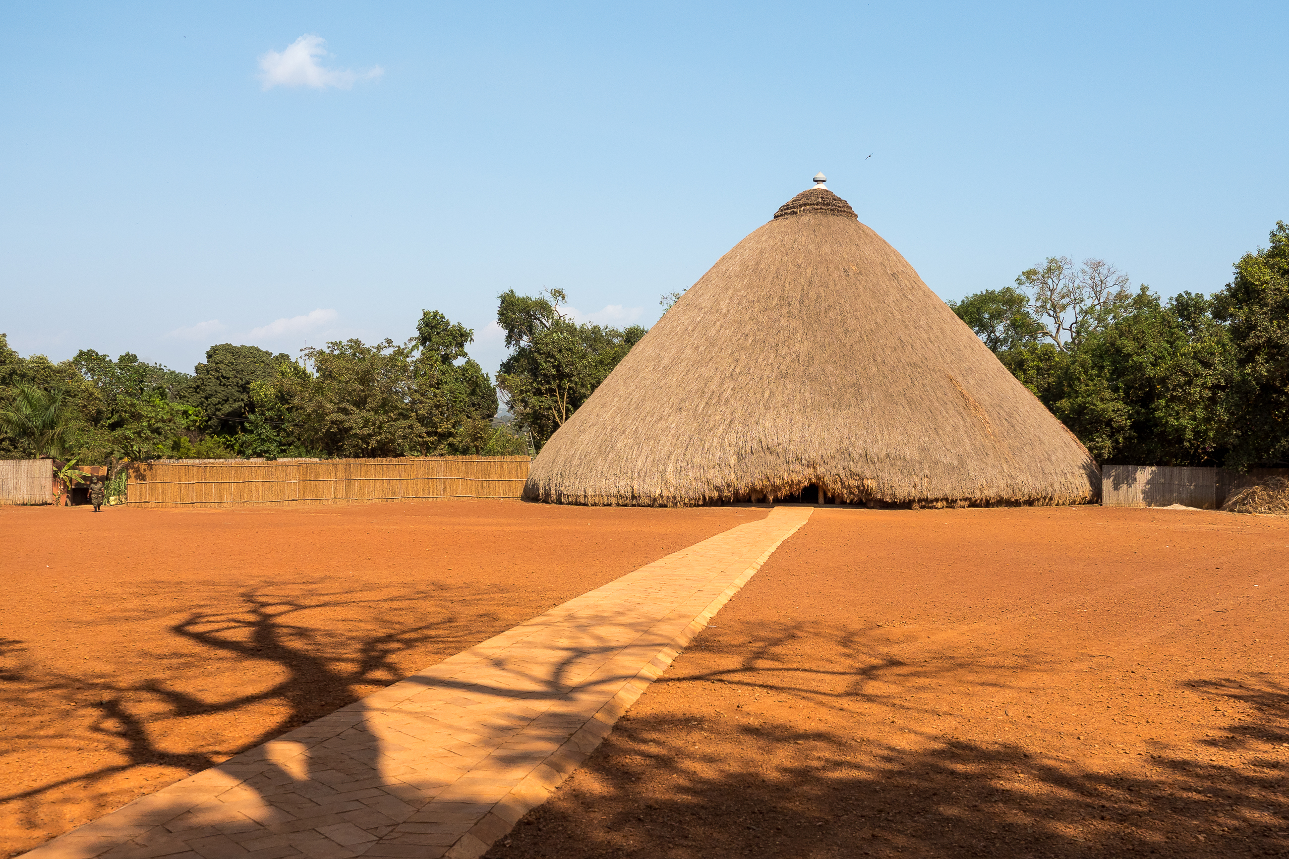 Nazwa:  P2230951.jpg
Wyświetleń: 136
Rozmiar:  4,42 MB