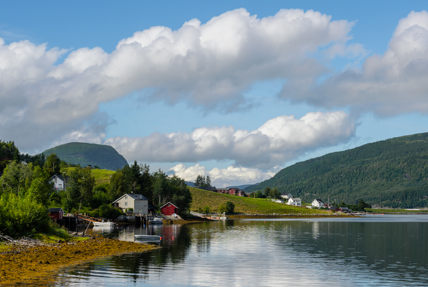 Nazwa:  _NO_22_Z7_06422-6.jpg
Wyświetleń: 13
Rozmiar:  940,6 KB