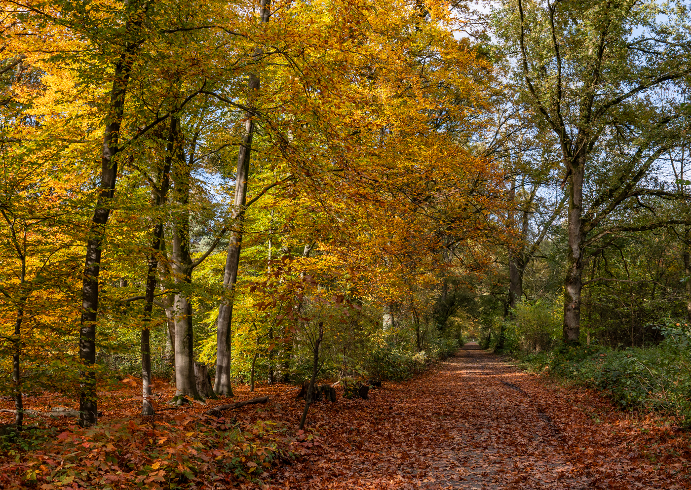 Nazwa:  _JJB4842.jpg
Wyświetleń: 76
Rozmiar:  2,49 MB