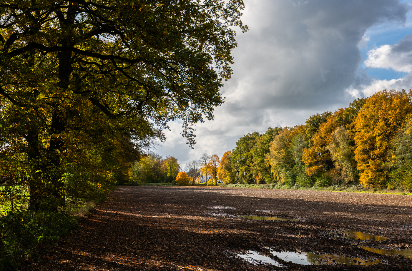 Nazwa:  _JJB4891-4.jpg
Wyświetleń: 81
Rozmiar:  1,77 MB