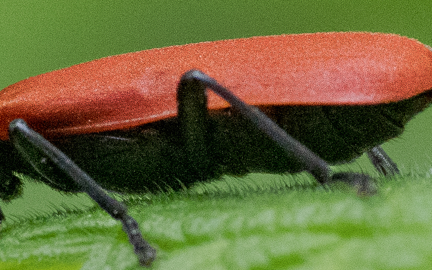 Nazwa:  raw.jpg
Wyświetleń: 54
Rozmiar:  567,0 KB