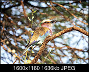 Kliknij obrazek, aby uzyskać większą wersję

Nazwa:	kraska.jpg
Wyświetleń:	19
Rozmiar:	1,60 MB
ID:	270242