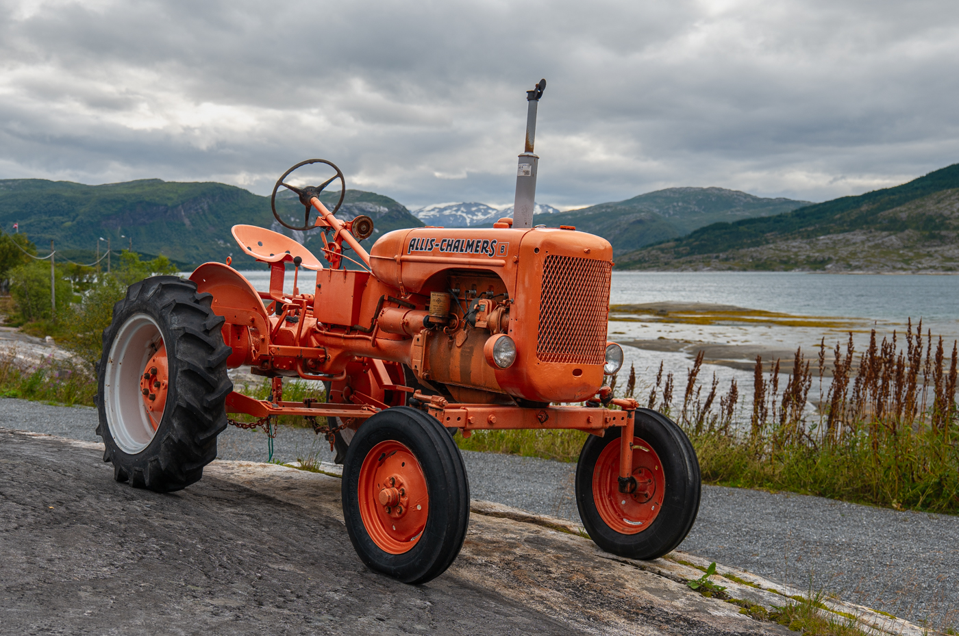 Nazwa:  _JJB1804-3.jpg
Wyświetleń: 50
Rozmiar:  1,07 MB