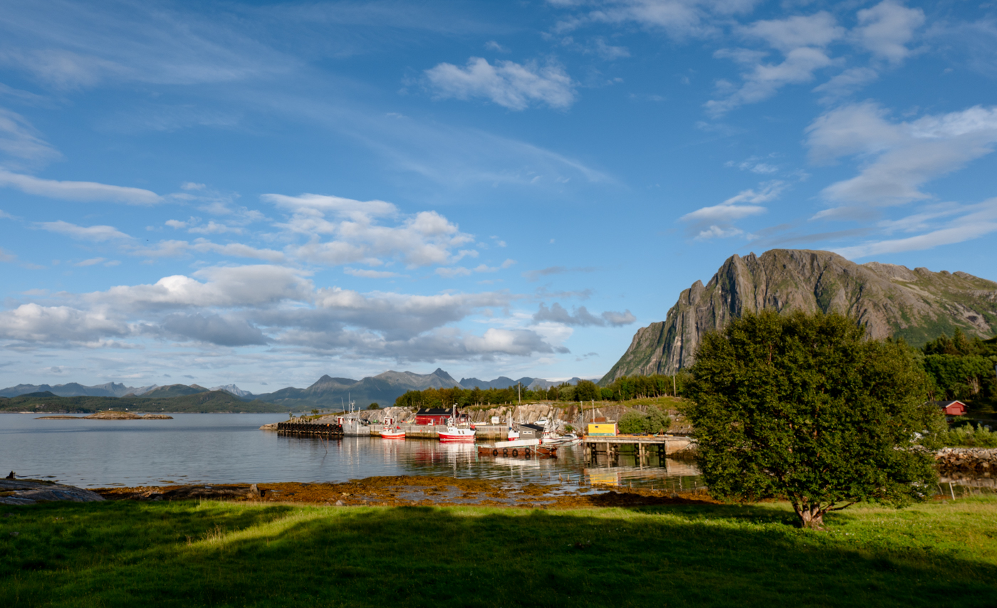 Nazwa:  _JJB2202.jpg
Wyświetleń: 50
Rozmiar:  893,8 KB