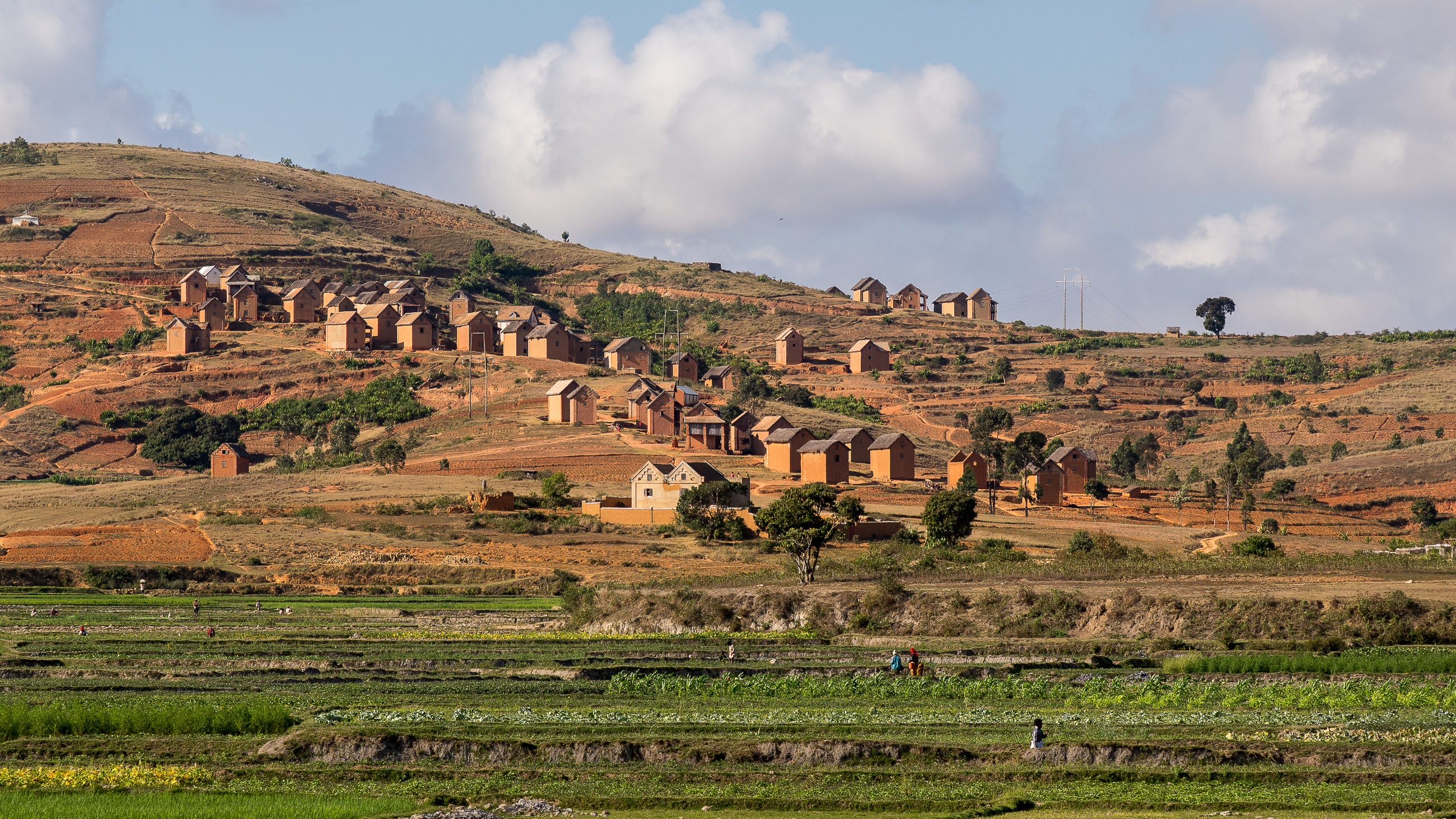 Nazwa:  PB030416.jpg
Wyświetleń: 5
Rozmiar:  4,67 MB