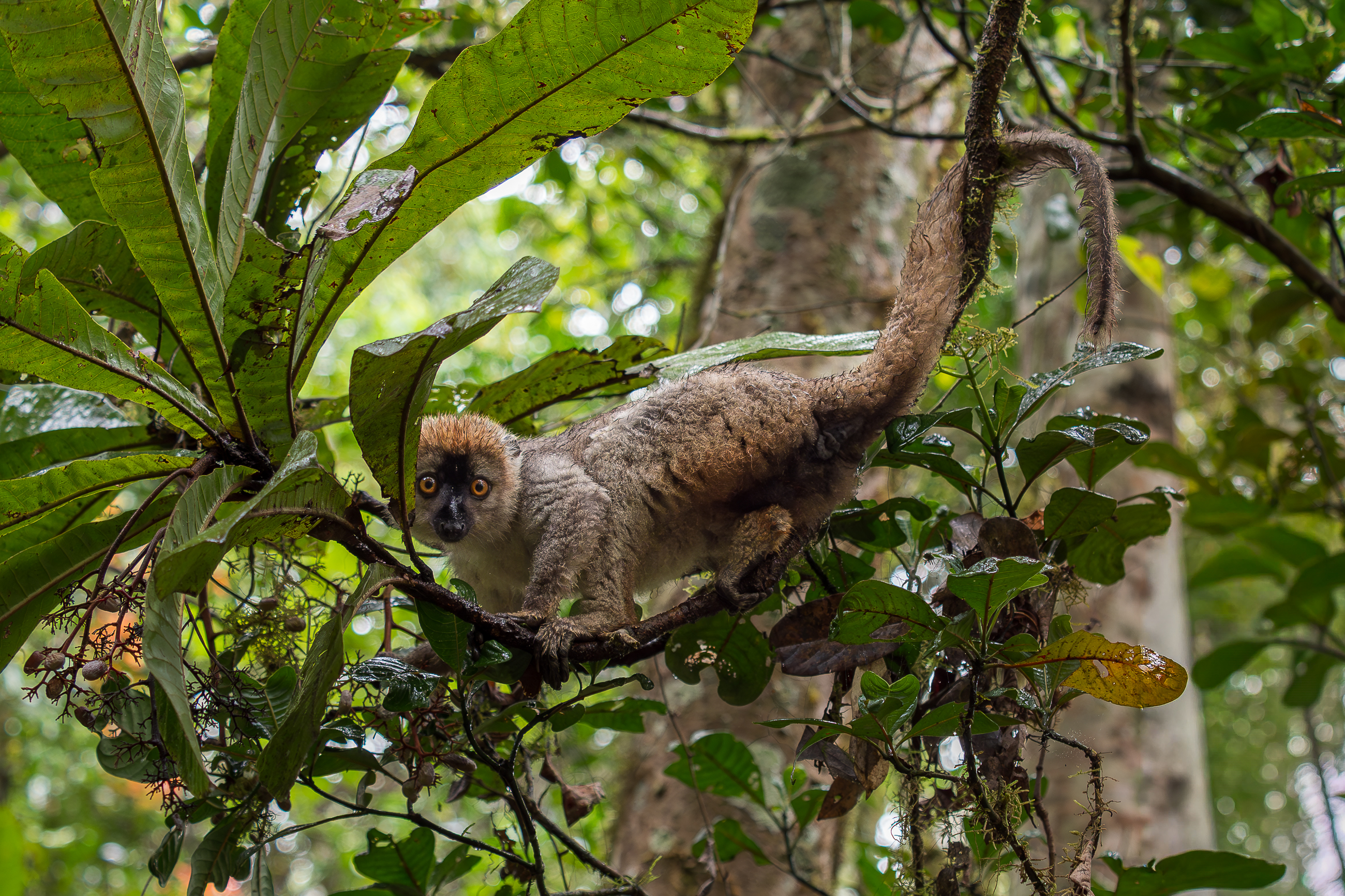 Nazwa:  PA310185.jpg
Wyświetleń: 65
Rozmiar:  4,01 MB