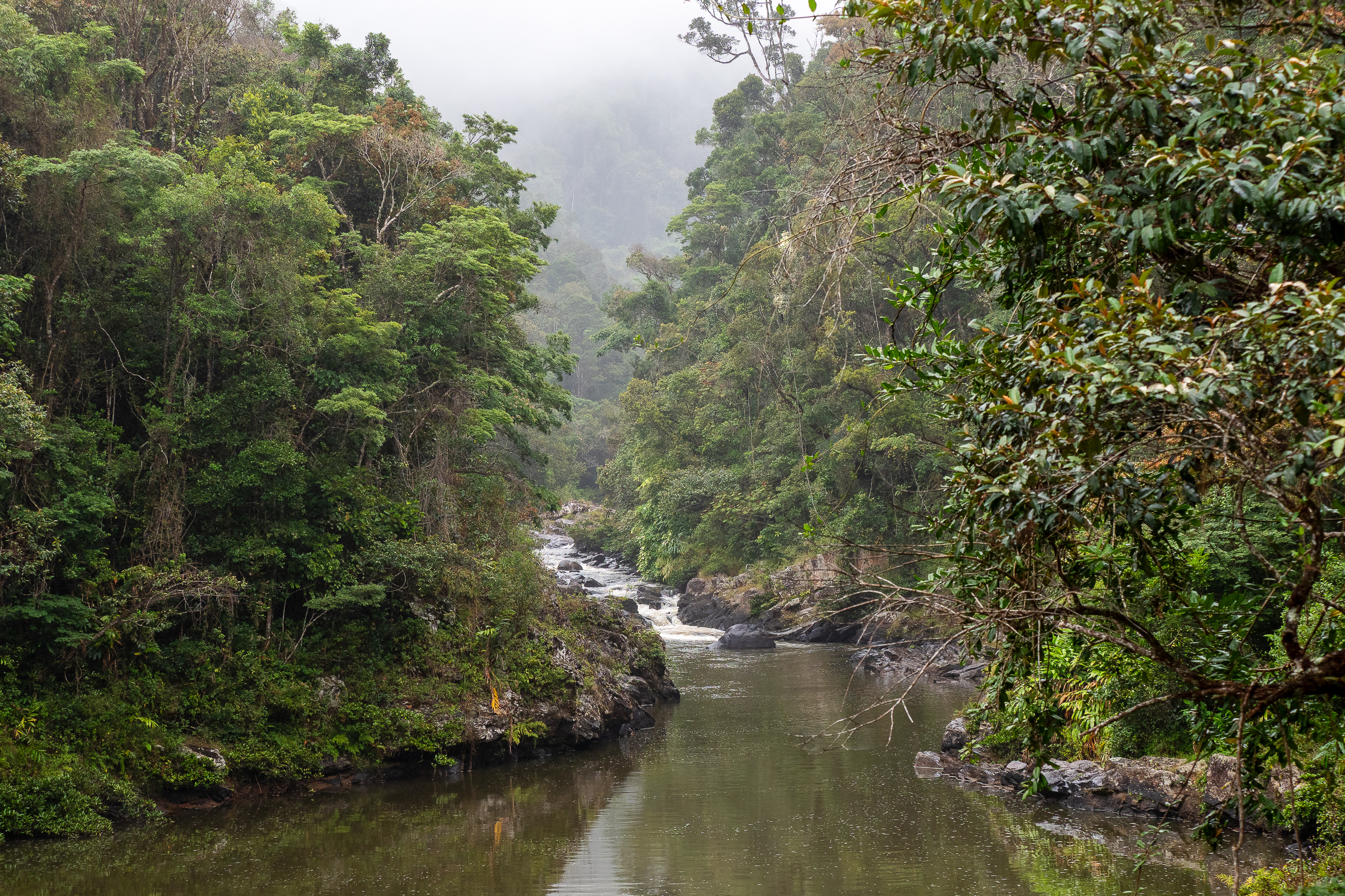 Nazwa:  PA310158.jpg
Wyświetleń: 72
Rozmiar:  5,56 MB