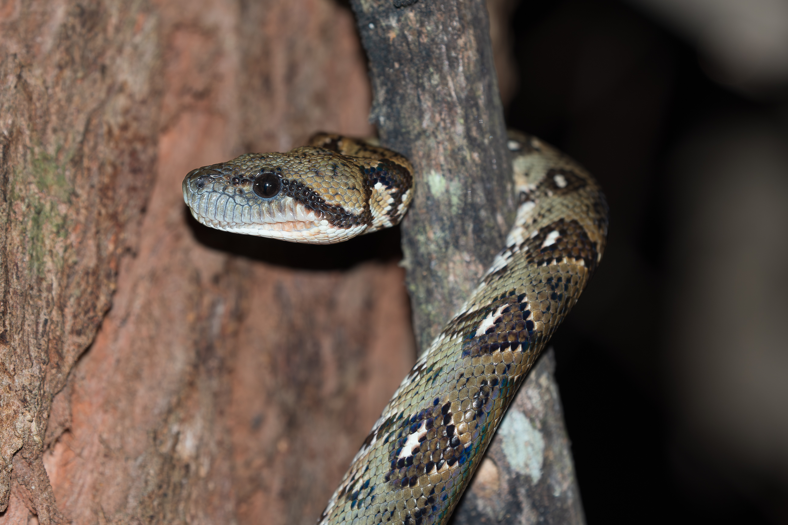 Nazwa:  PB111442.jpg
Wyświetleń: 48
Rozmiar:  2,04 MB