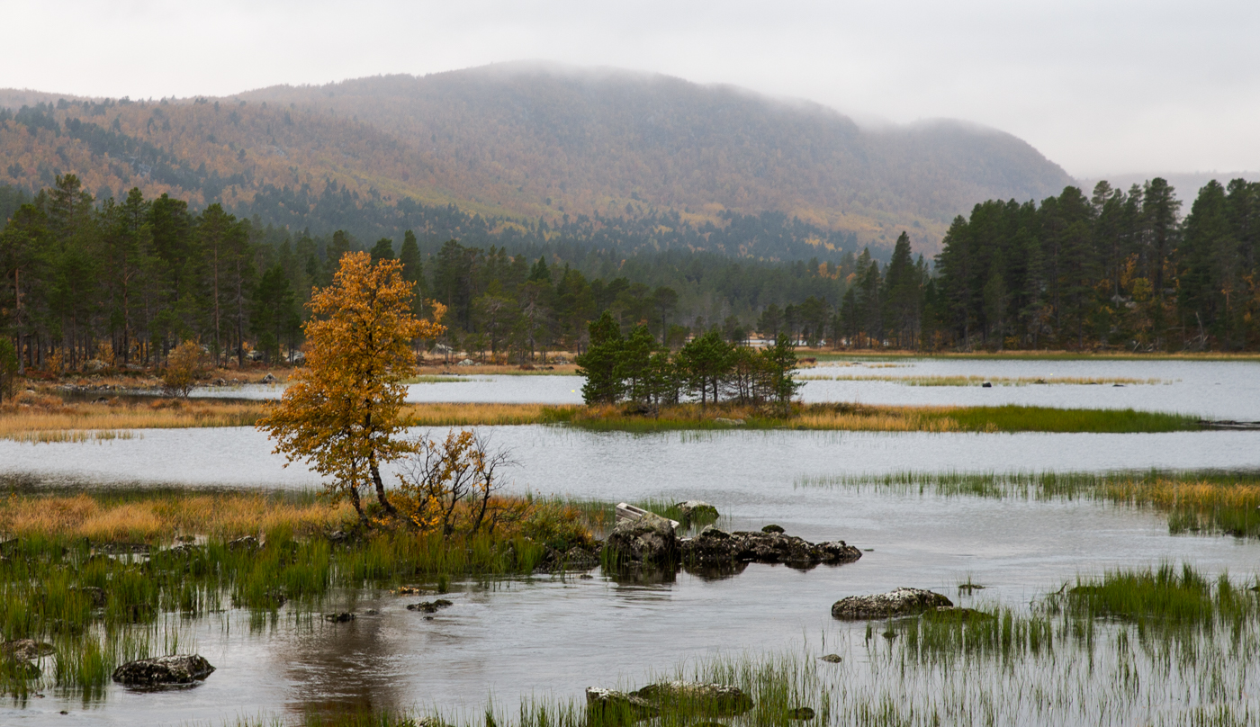 Nazwa:  _DN10718-6.jpg
Wyświetleń: 17
Rozmiar:  1.009,9 KB