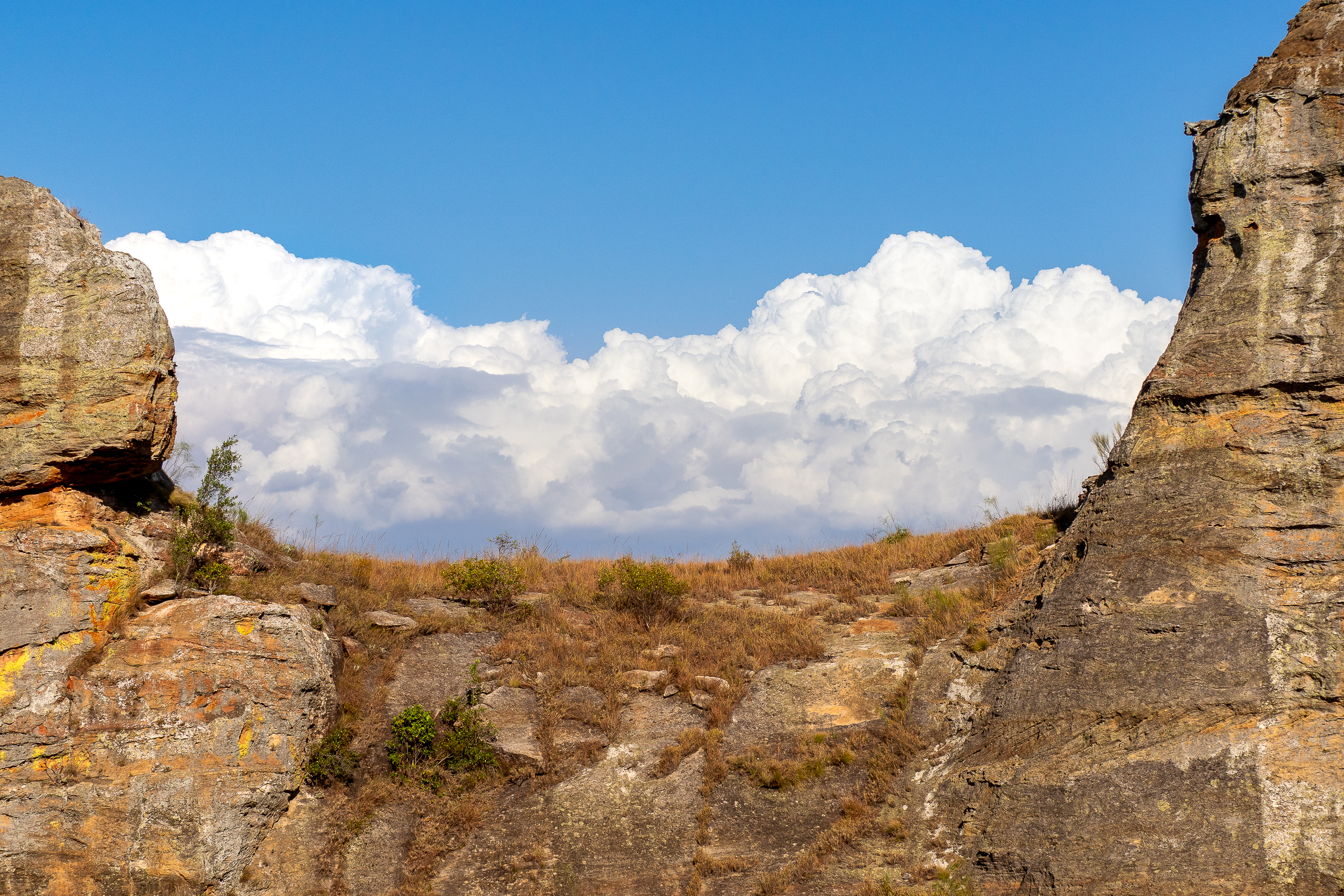 Nazwa:  PB040709.jpg
Wyświetleń: 14
Rozmiar:  5,55 MB