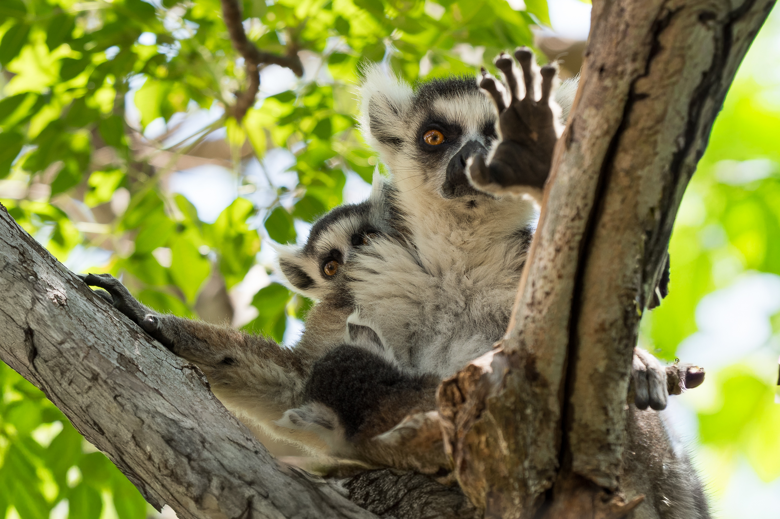 Nazwa:  PB030521.jpg
Wyświetleń: 35
Rozmiar:  2,96 MB