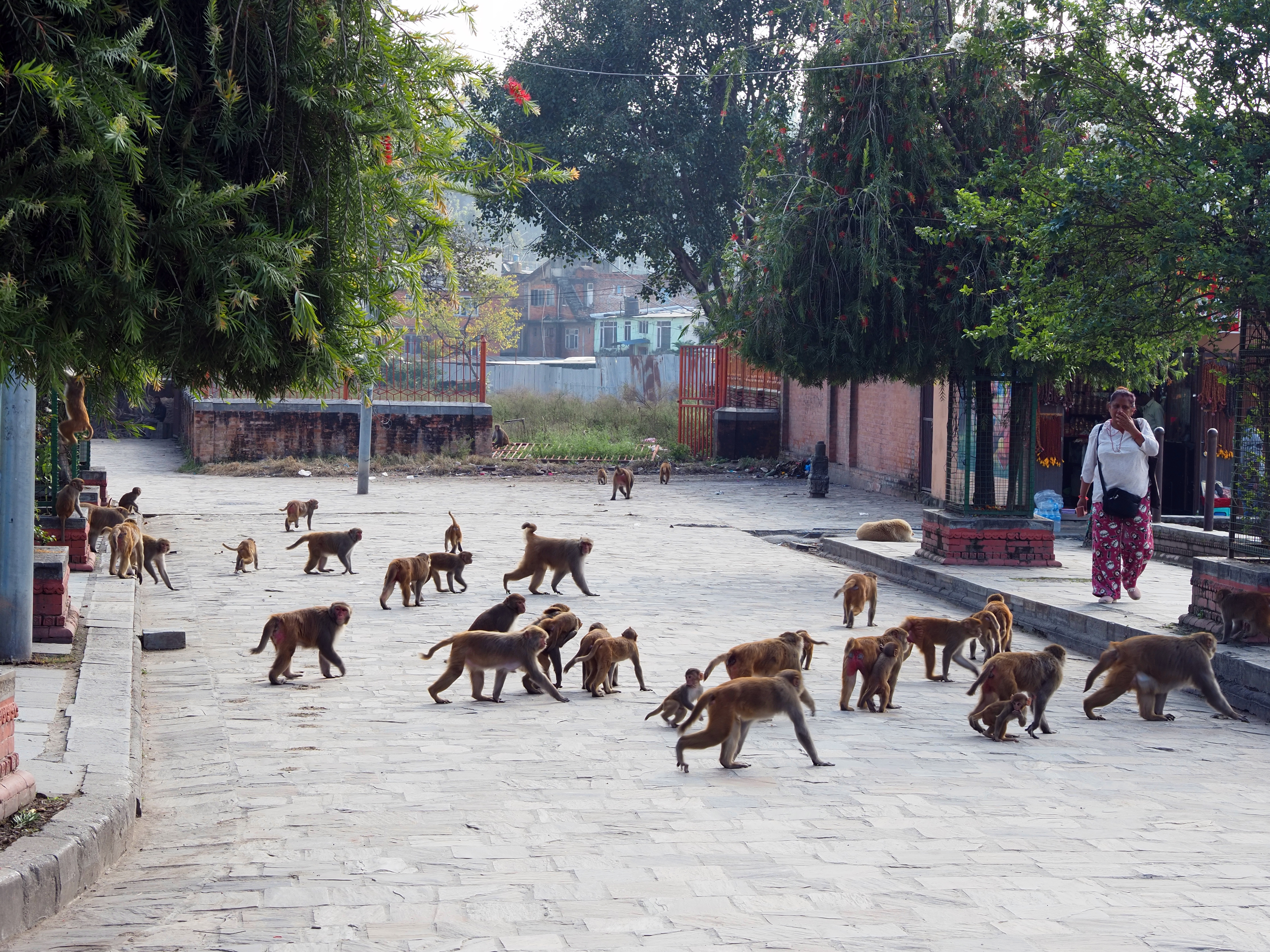 Kliknij obrazek, aby uzyskać większą wersję

Nazwa:	PB040082.jpg
Wyświetleń:	5
Rozmiar:	13,28 MB
ID:	270559