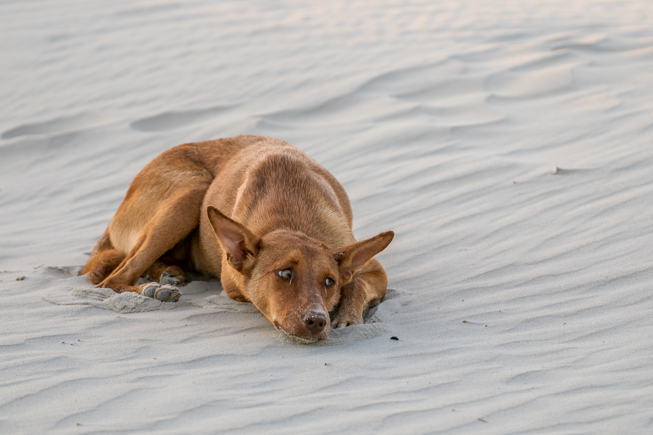 Nazwa:  PB091182.jpg
Wyświetleń: 30
Rozmiar:  2,53 MB