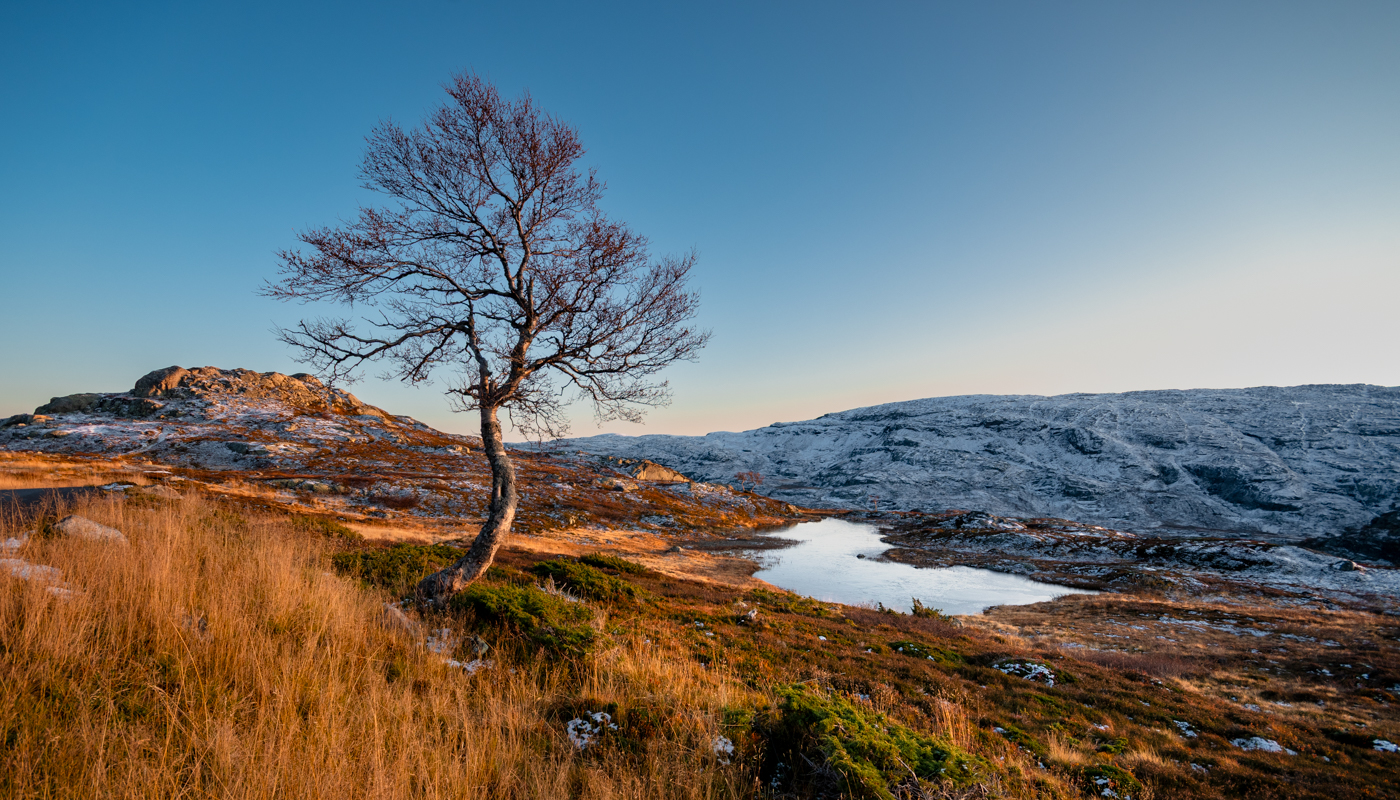 Nazwa:  _NJ59586-4.jpg
Wyświetleń: 37
Rozmiar:  1,10 MB