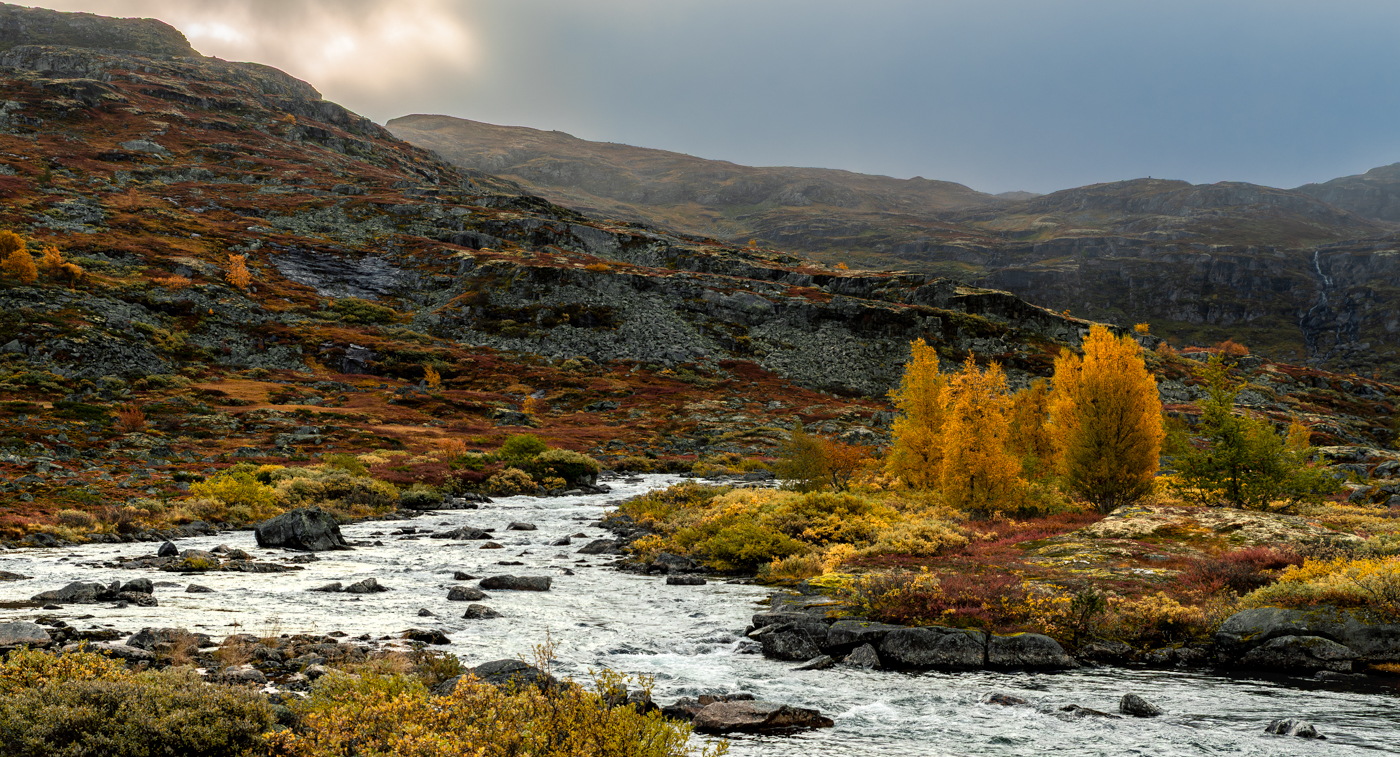 Nazwa:  _NJ61171-2.jpg
Wyświetleń: 36
Rozmiar:  1,33 MB