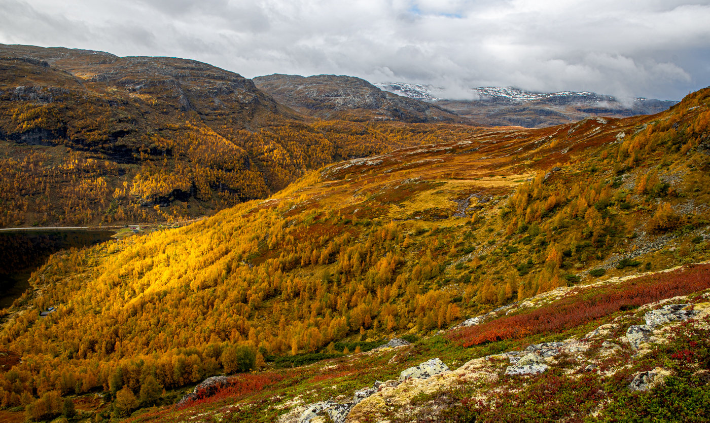 Nazwa:  _NJ61595.jpg
Wyświetleń: 36
Rozmiar:  1,68 MB