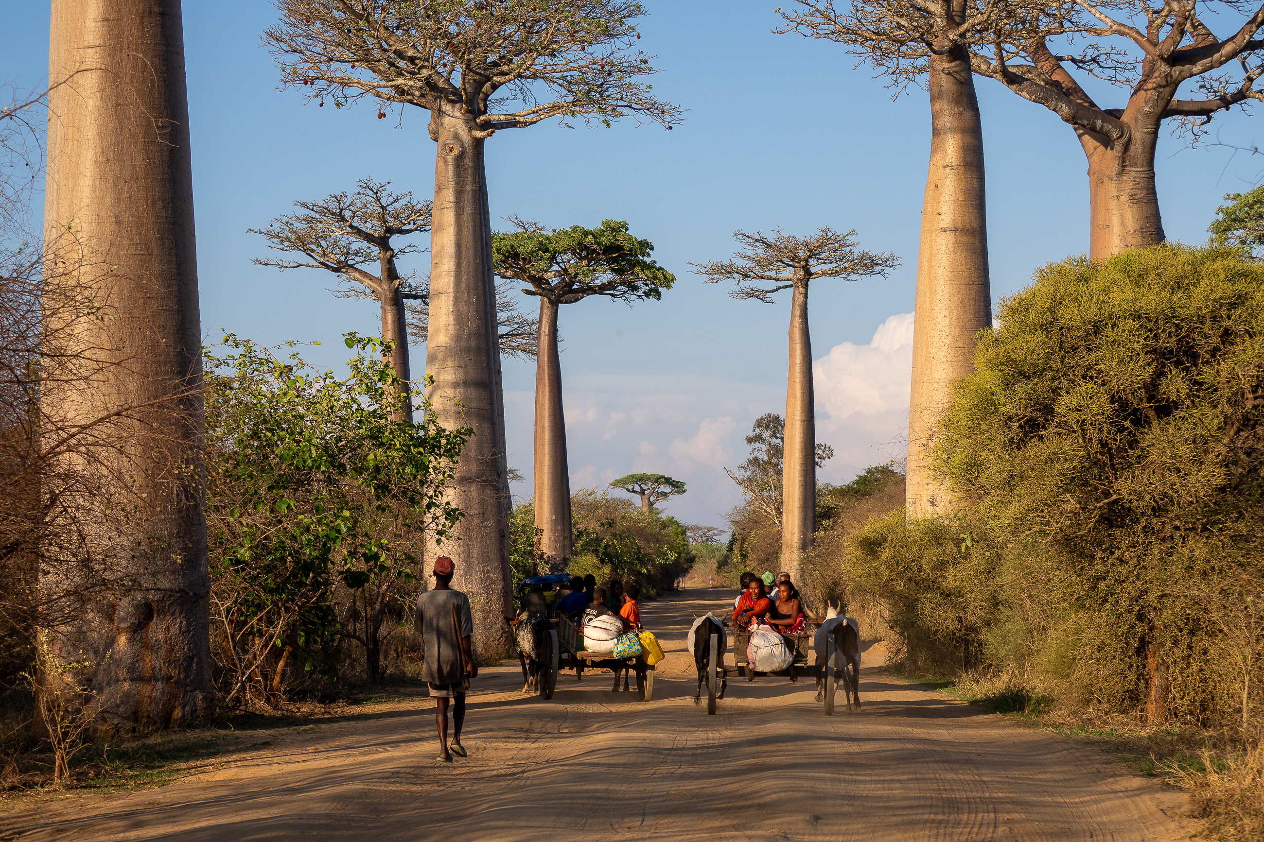 Nazwa:  PB081044.jpg
Wyświetleń: 6
Rozmiar:  5,69 MB