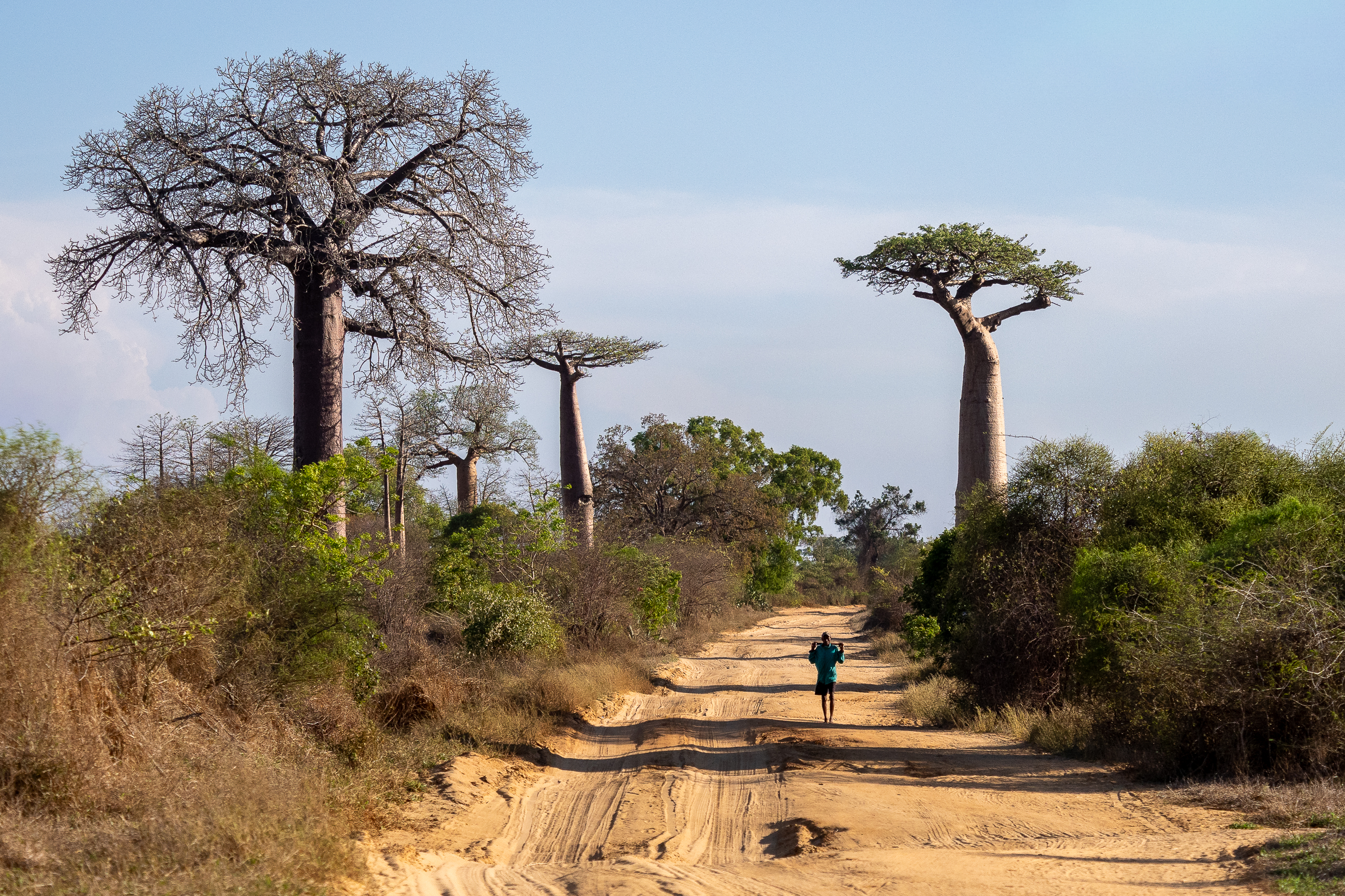 Nazwa:  PB081024.jpg
Wyświetleń: 6
Rozmiar:  5,10 MB