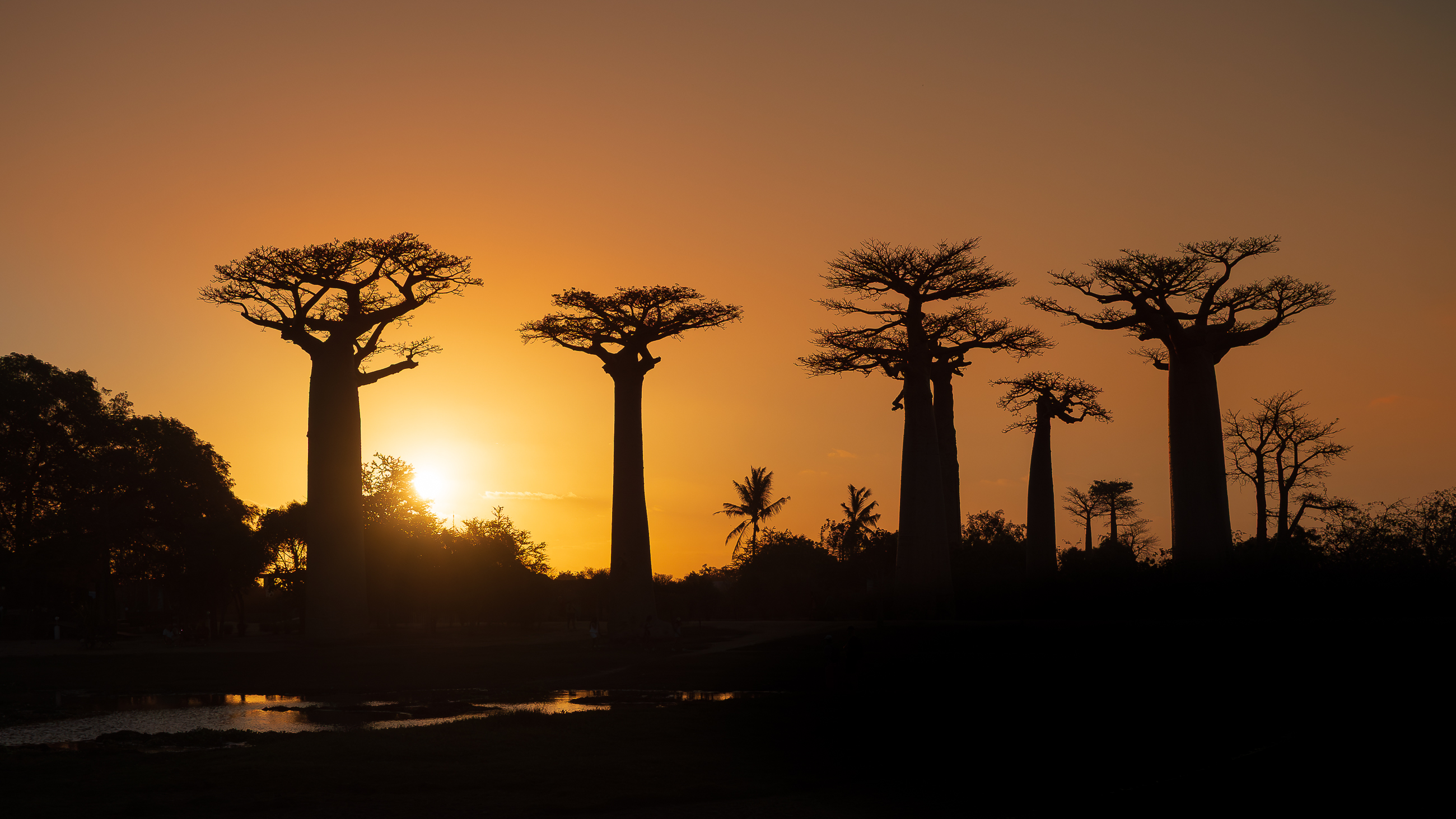 Nazwa:  PB060776.jpg
Wyświetleń: 8
Rozmiar:  1,68 MB