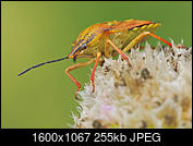 Kliknij obrazek, aby uzyskać większą wersję

Nazwa:	Marek_v2.jpg
Wyświetleń:	4
Rozmiar:	254,9 KB
ID:	270736