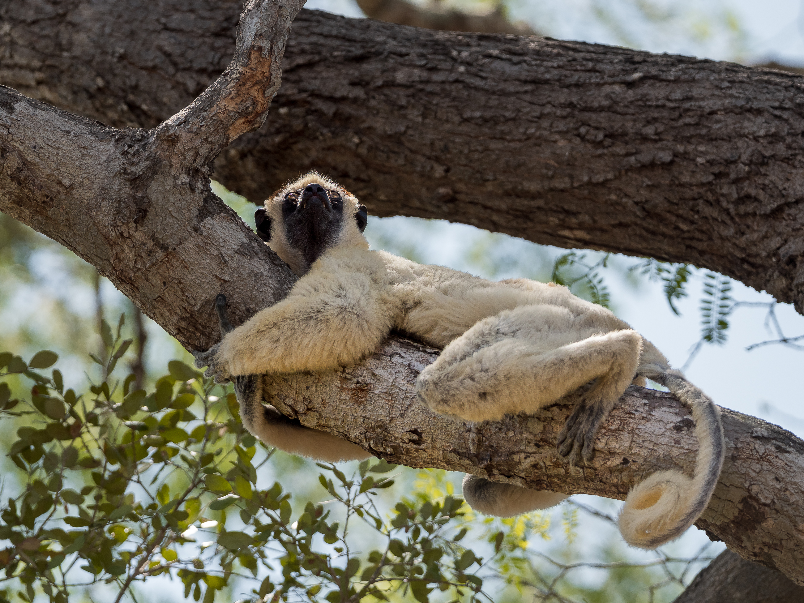 Nazwa:  PB080984-3.jpg
Wyświetleń: 118
Rozmiar:  3,85 MB