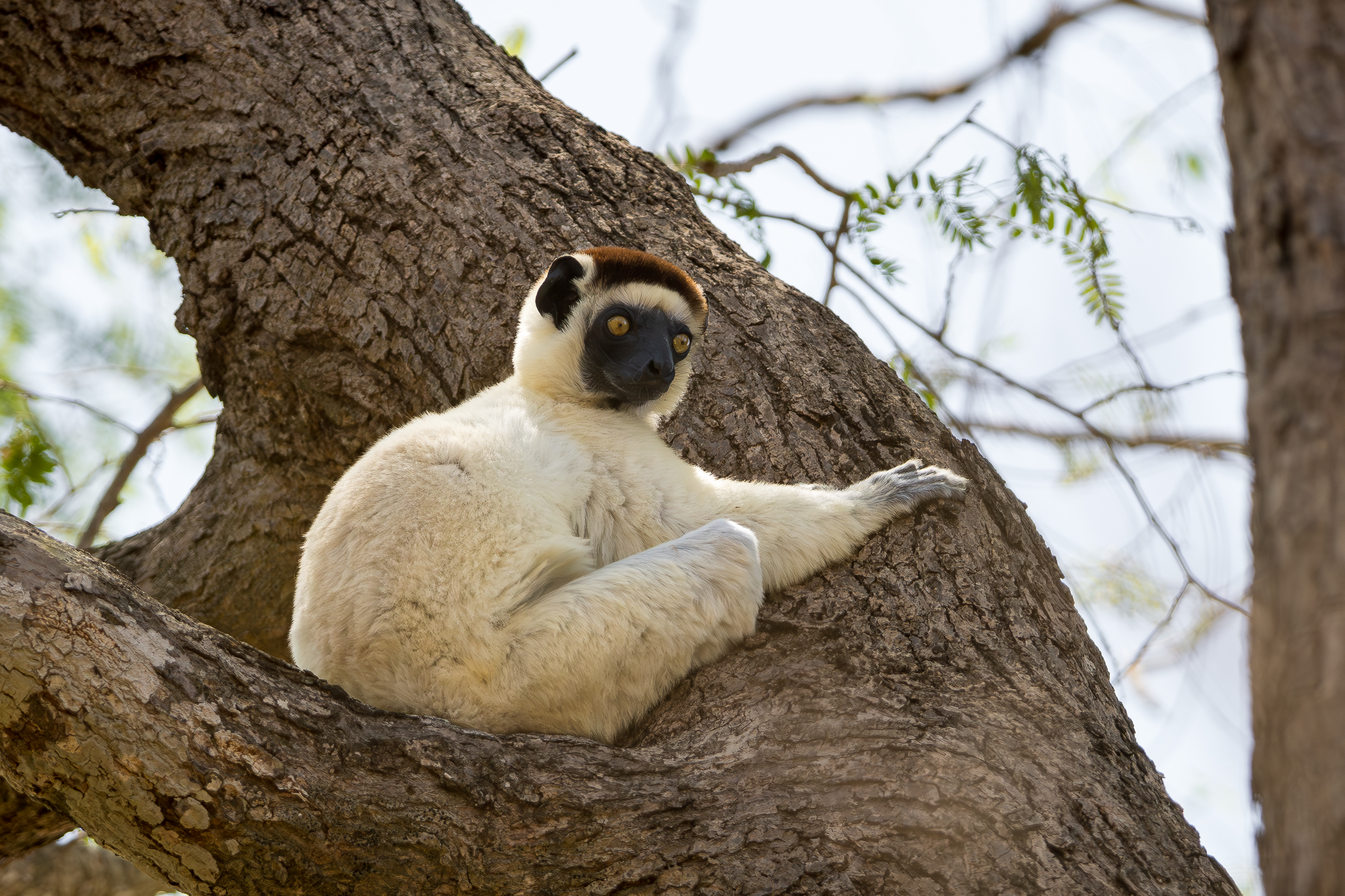 Nazwa:  PB080977.jpg
Wyświetleń: 116
Rozmiar:  3,27 MB