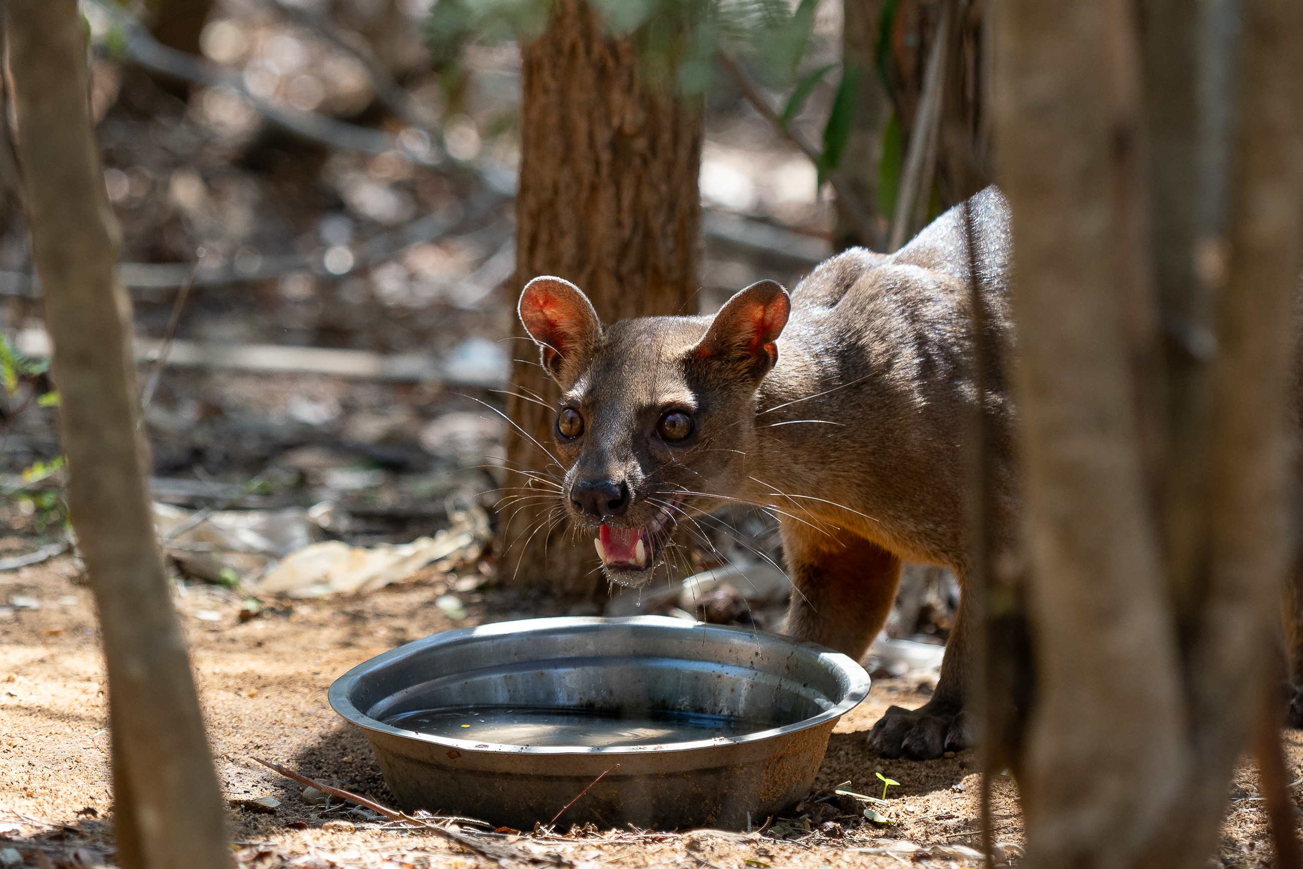 Nazwa:  PB080962.jpg
Wyświetleń: 116
Rozmiar:  3,20 MB